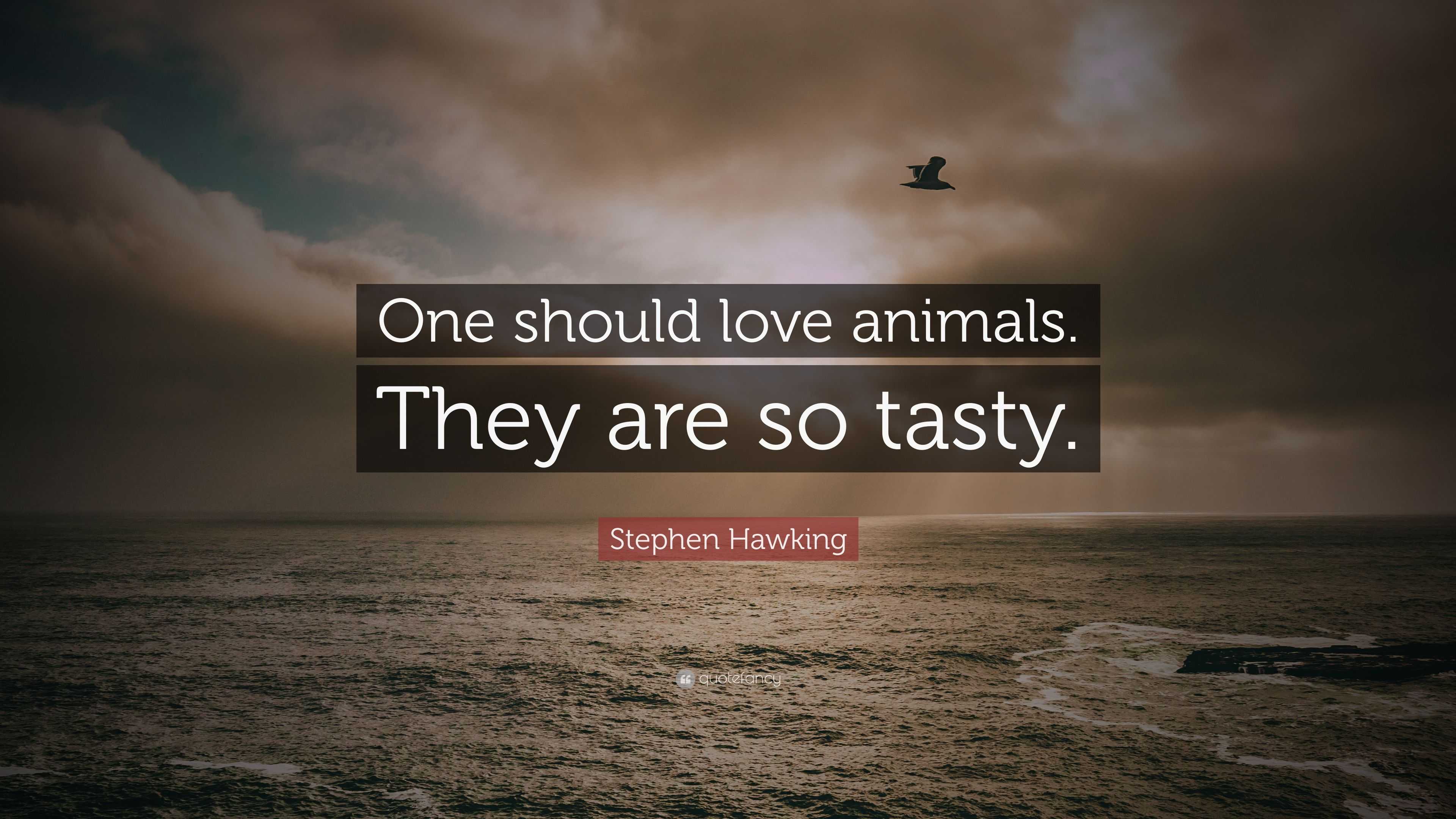Stephen Hawking Quote: “One should love animals. They are so tasty.”