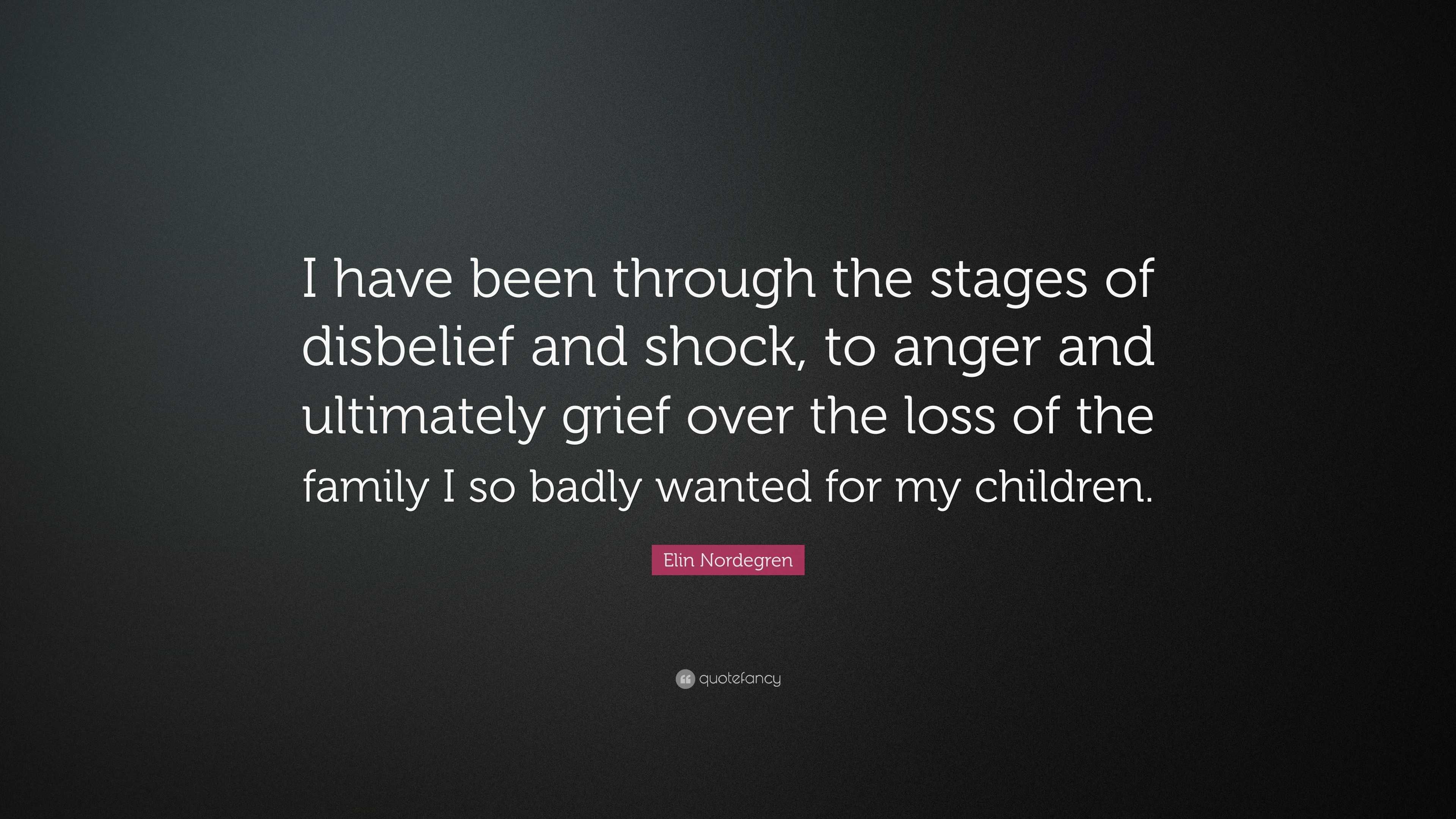 Elin Nordegren Quote: “I have been through the stages of disbelief and ...