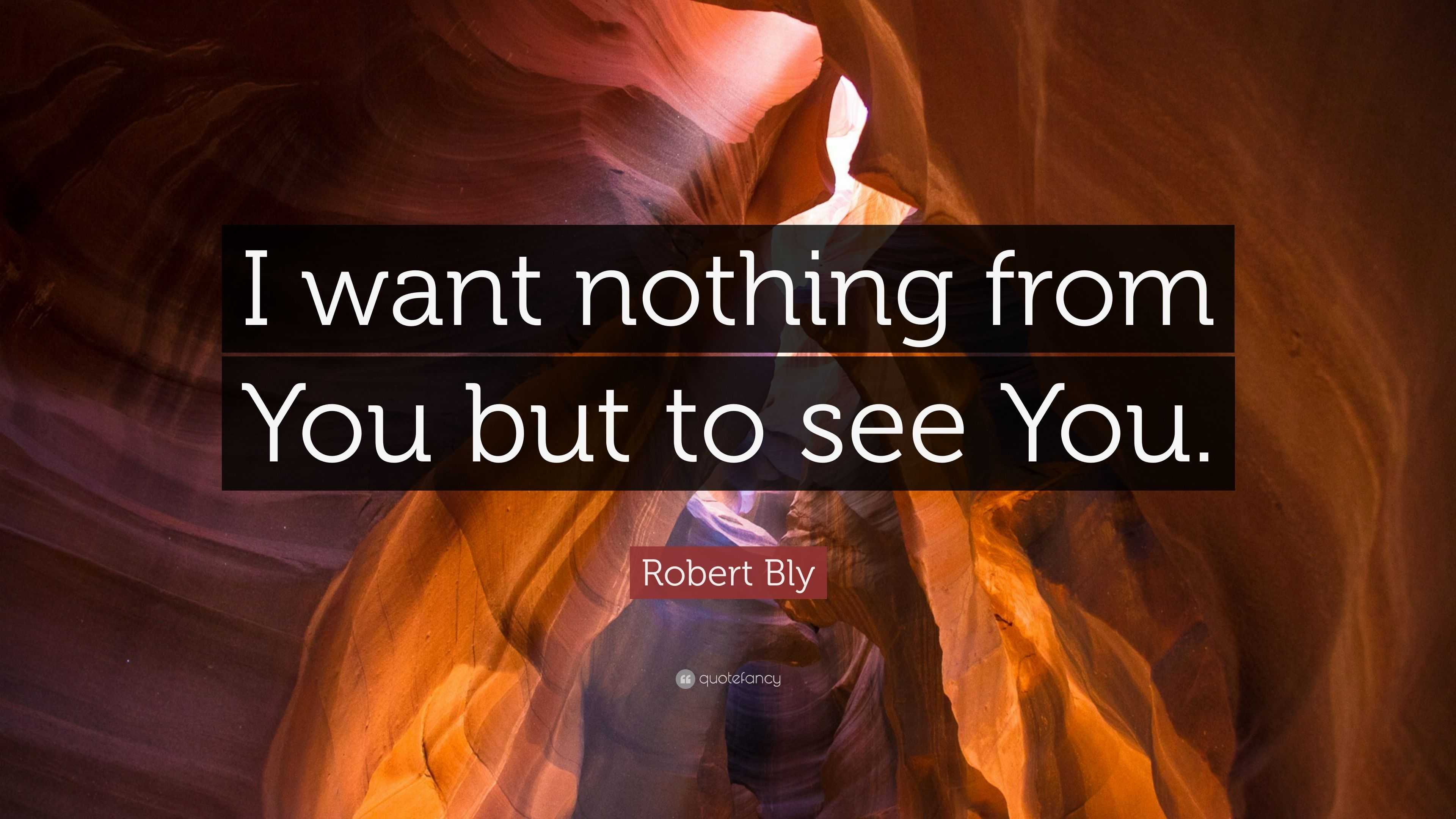 Robert Bly Quote: “I want nothing from You but to see You.”