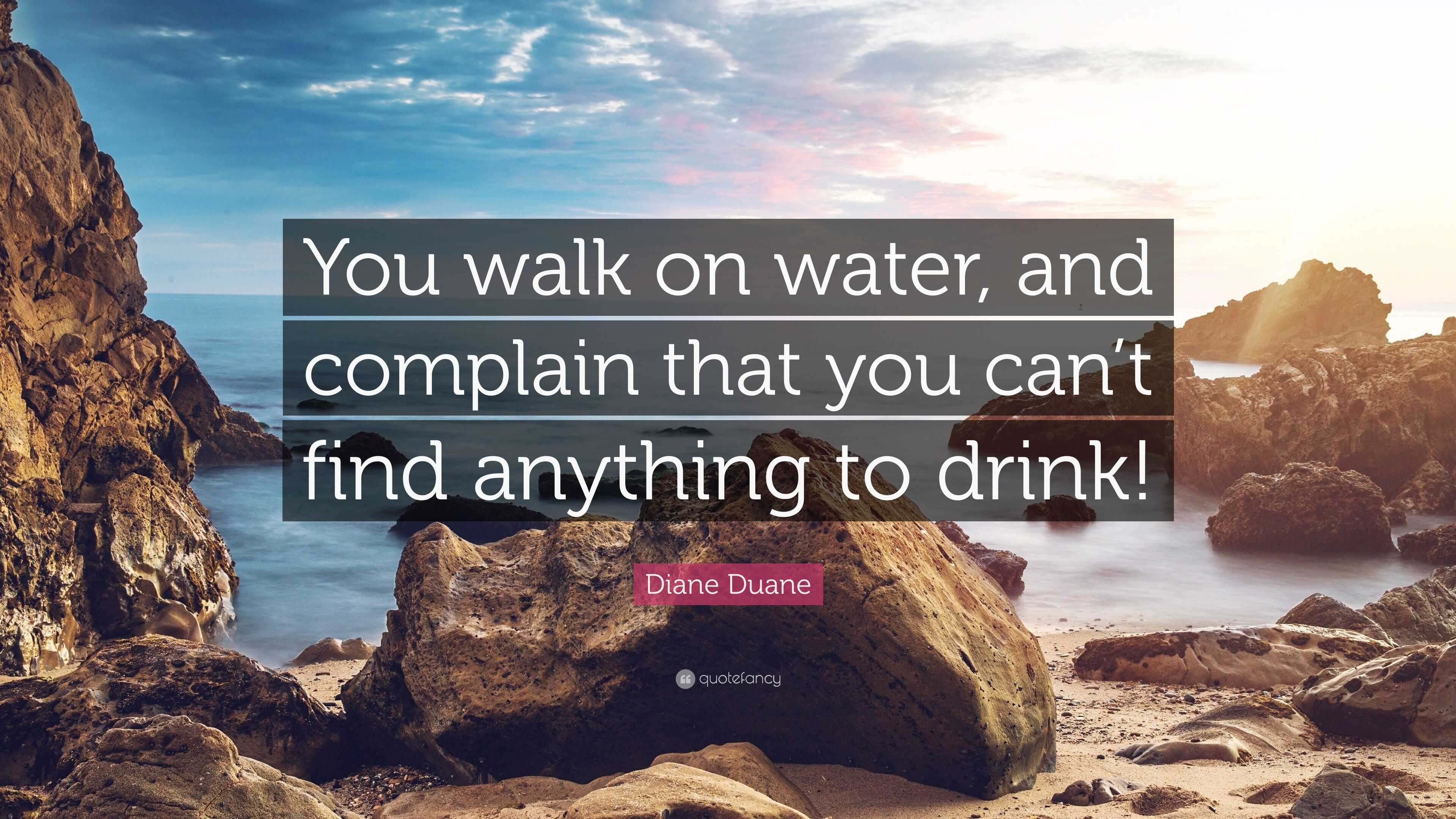 Diane Duane Quote: “You walk on water, and complain that you can’t find ...