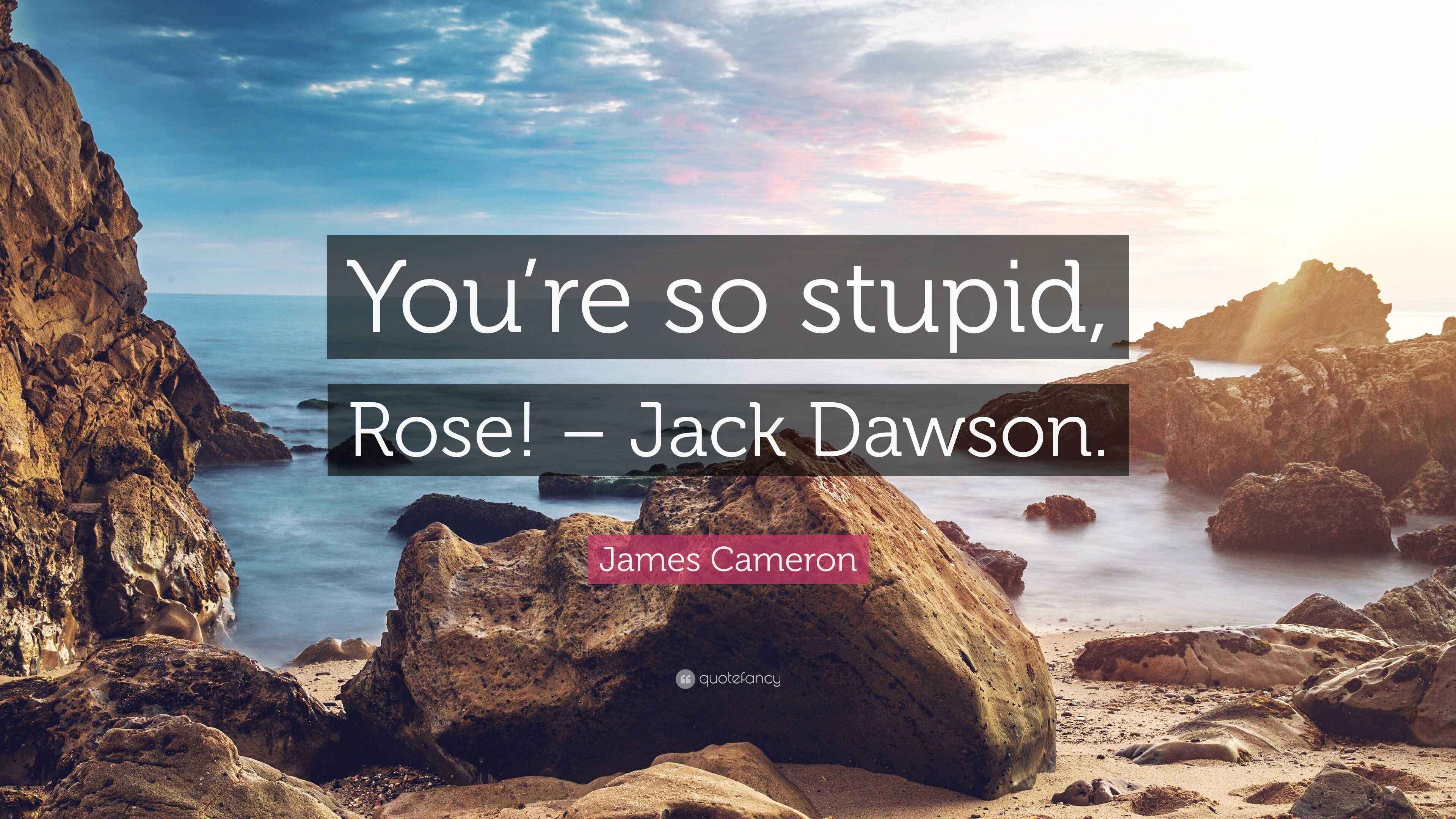 James Cameron Quote “You’re so stupid, Rose! Jack Dawson.”