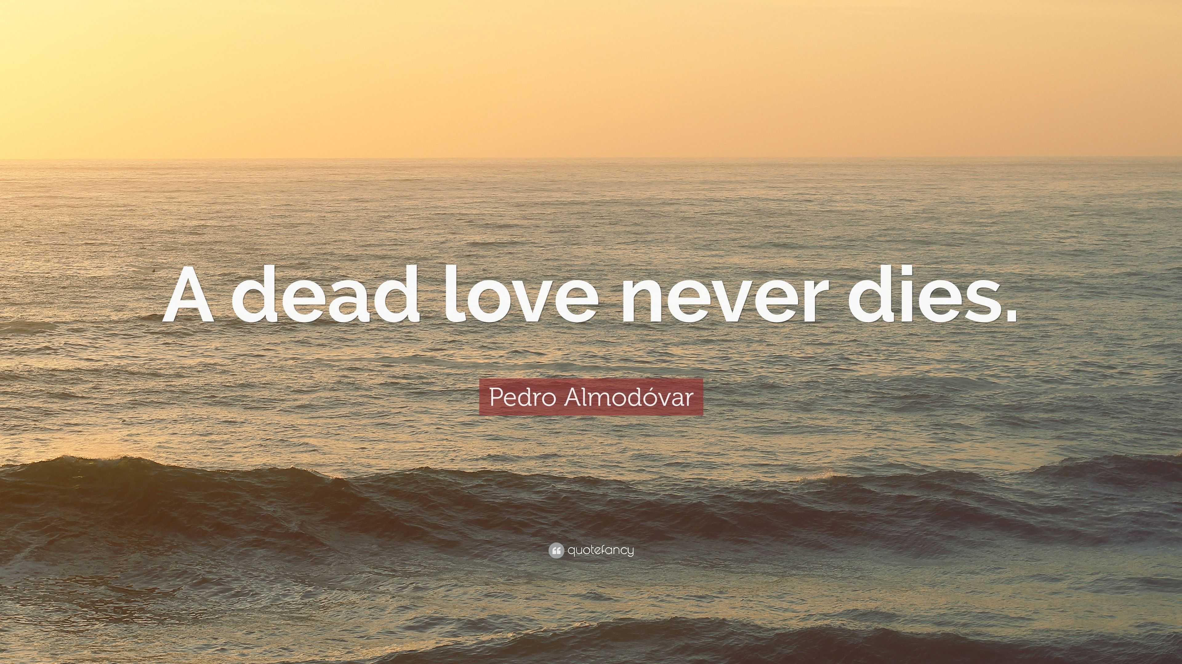 Pedro Almod³var Quote “A dead love never s ”