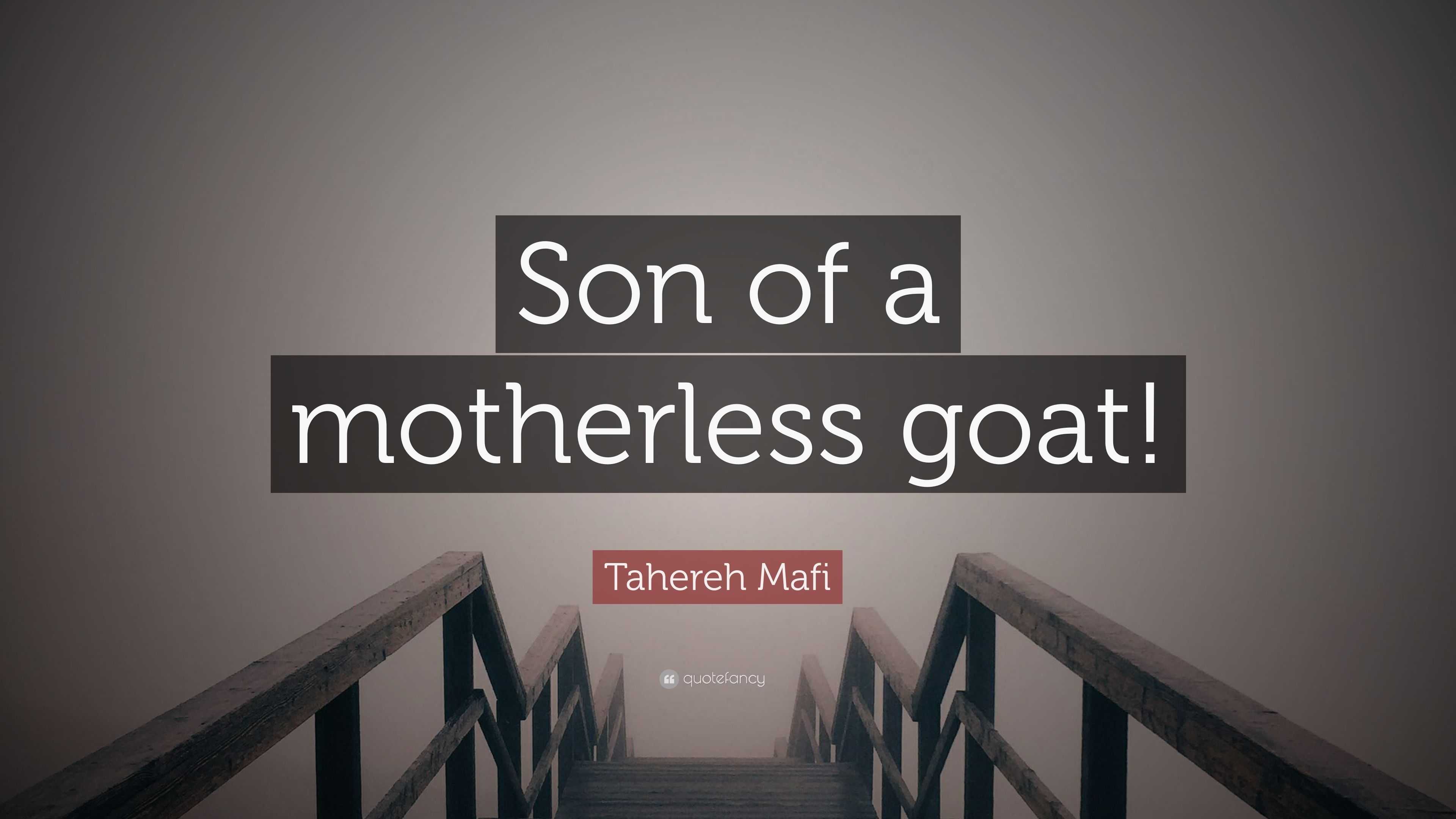 Tahereh Mafi Quote: “Son of a motherless goat!”