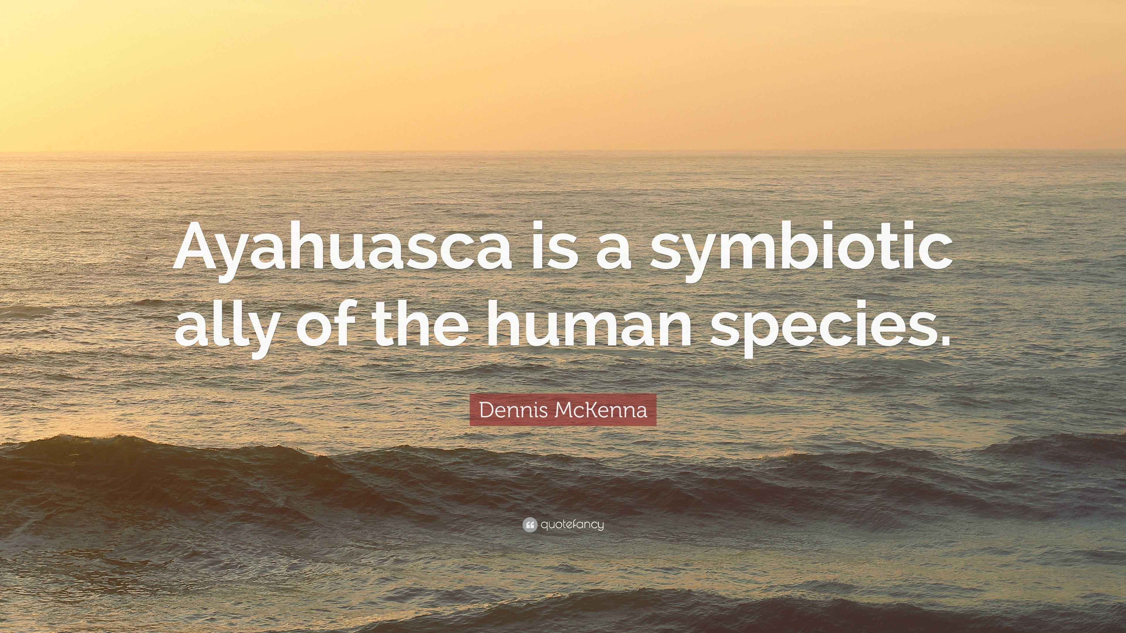 Dennis McKenna Quote “Ayahuasca is a symbiotic ally of the human species.”
