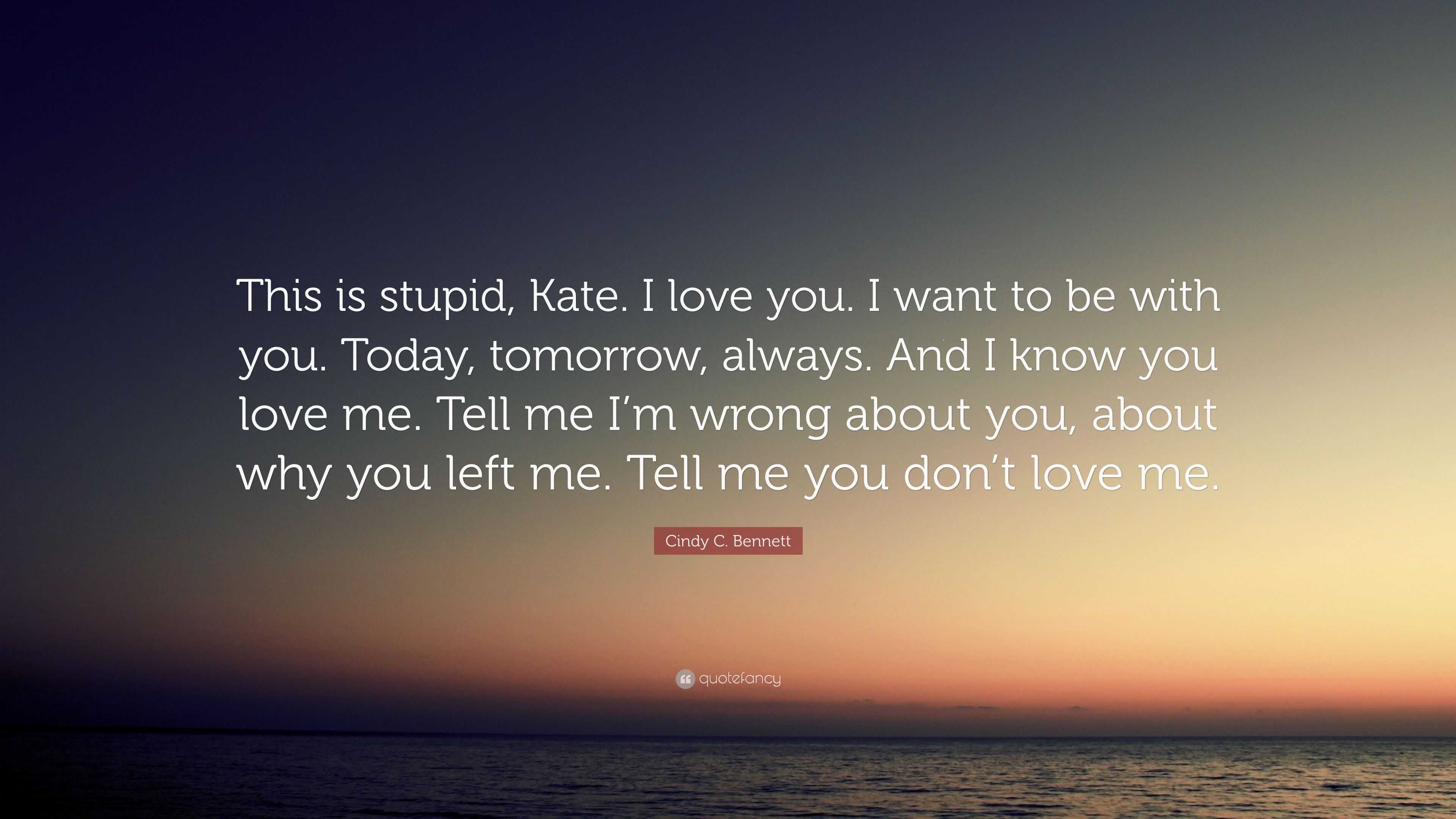 Cindy C Bennett Quote “This is stupid Kate I love you