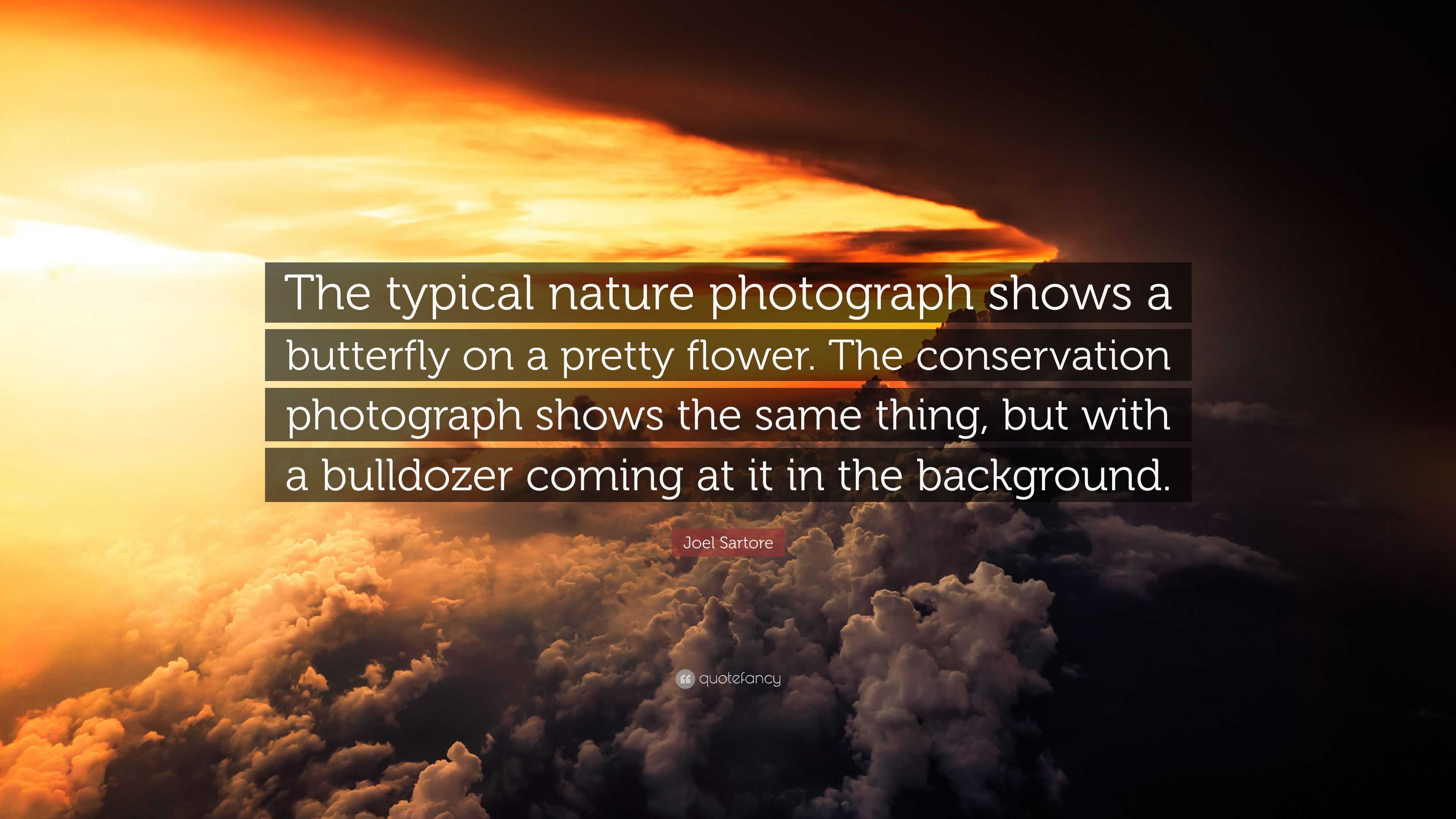 Joel Sartore Quote: “The typical nature photograph shows a butterfly on a  pretty flower. The conservation photograph shows the same thing, bu...”