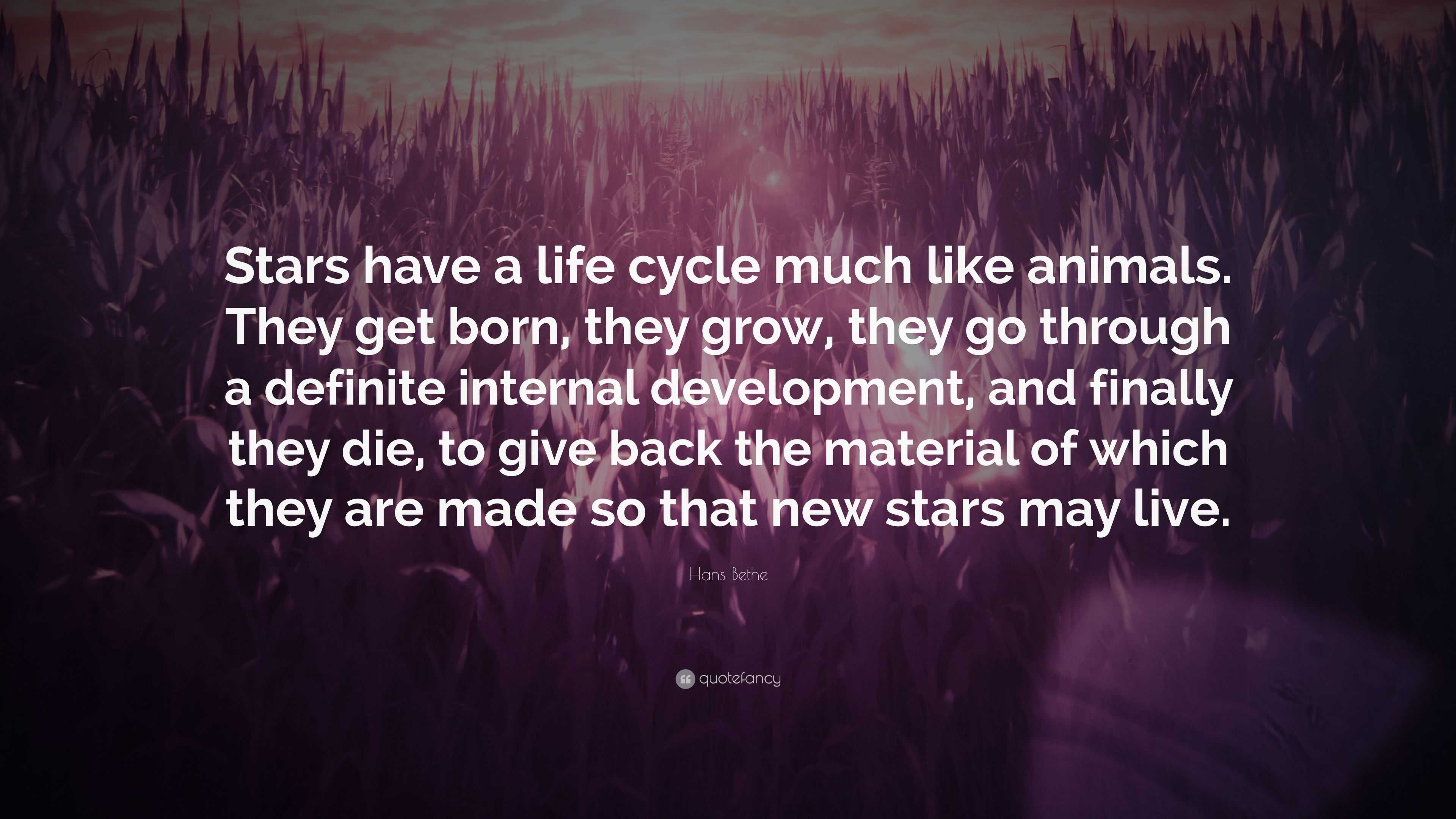 Hans Bethe Quote “Stars have a life cycle much like animals. They get