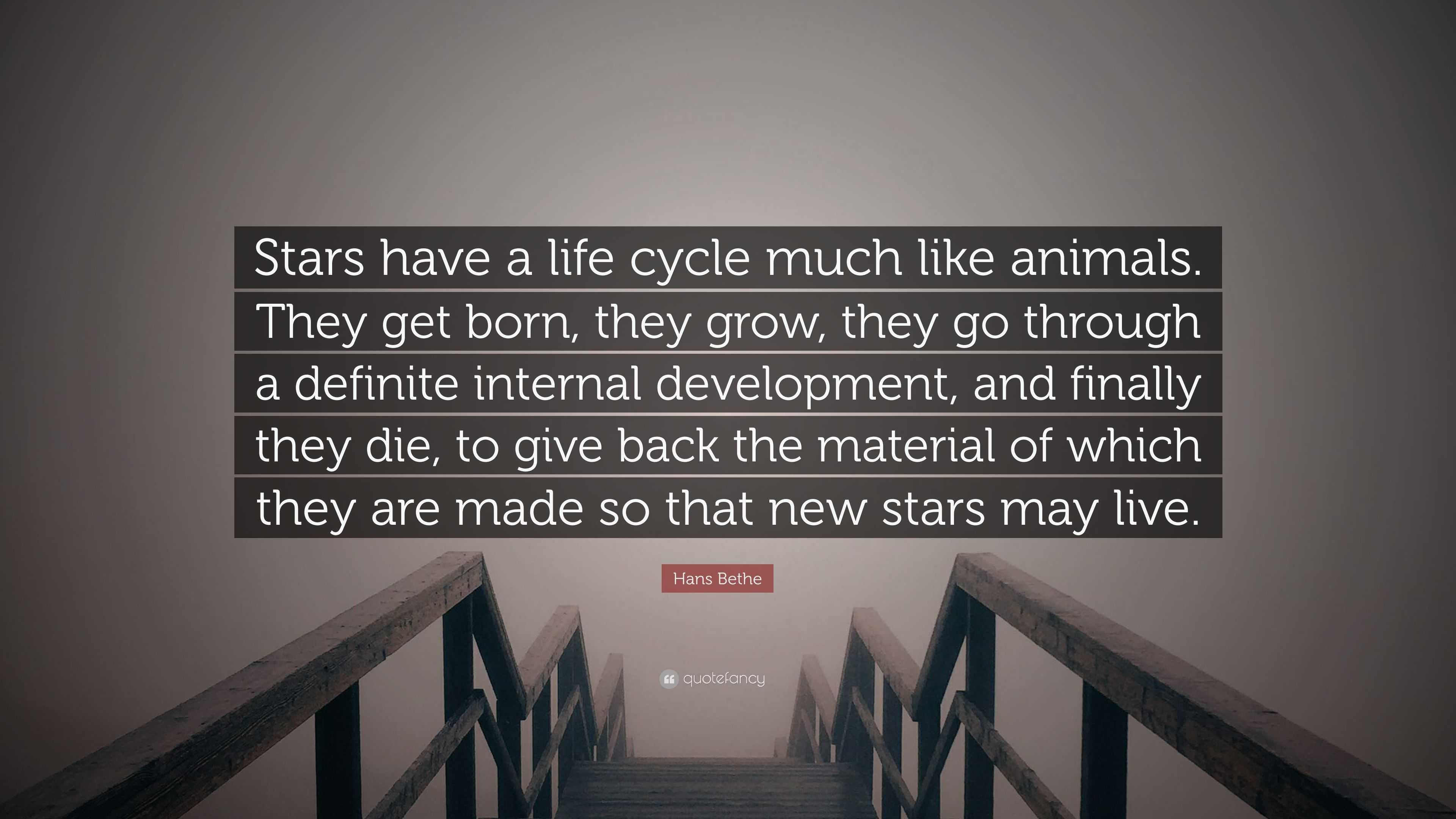 Hans Bethe Quote “Stars have a life cycle much like animals They