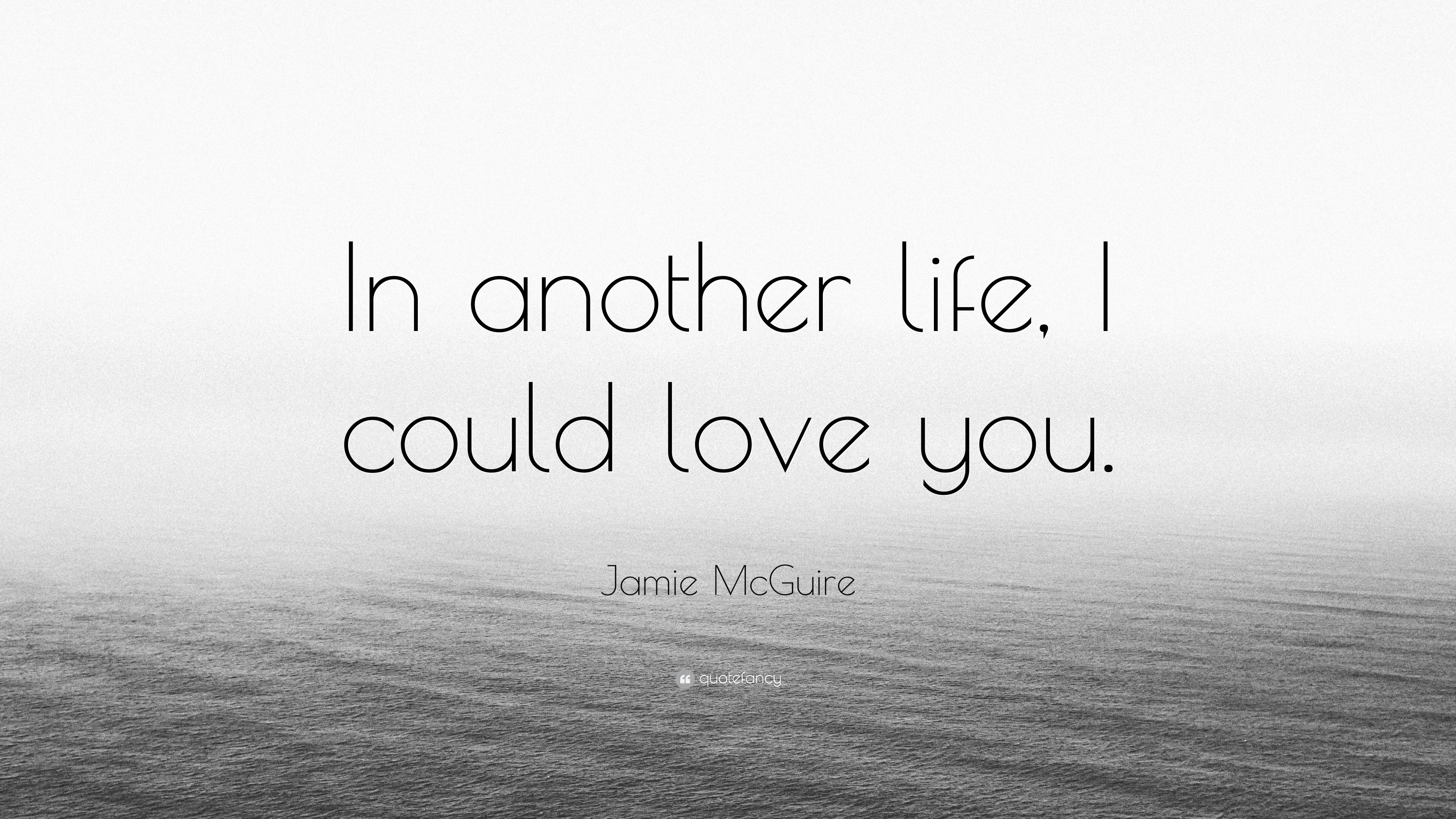 Jamie McGuire Quote: “In another life, I could love you.”