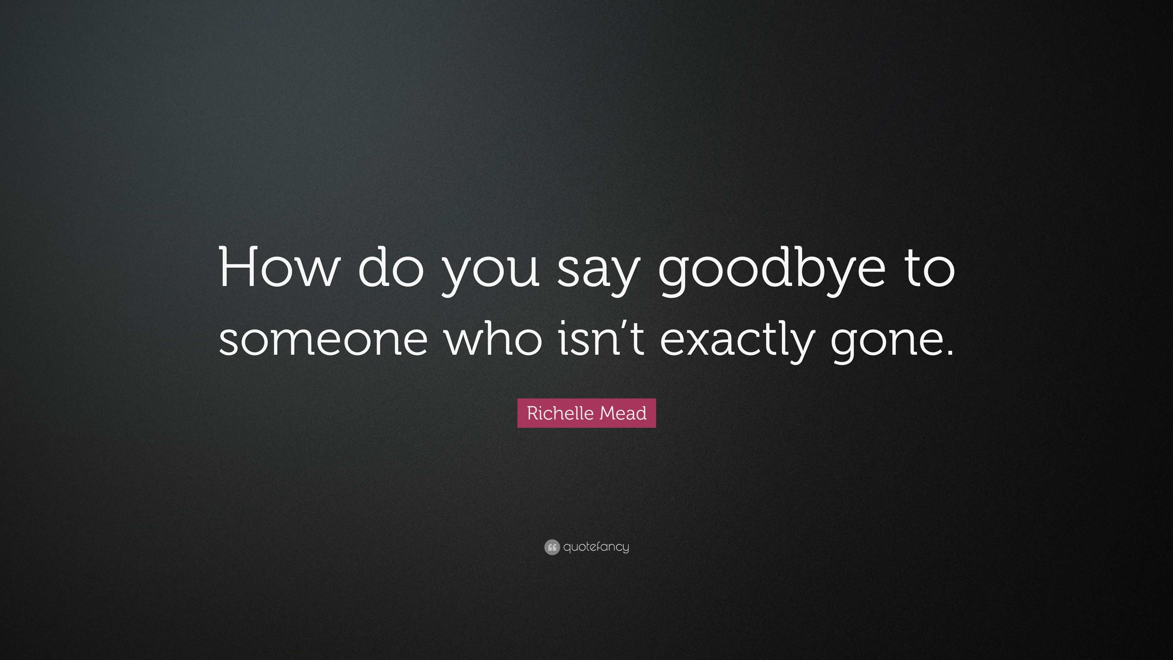 Richelle Mead Quote “How do you say goodbye to someone who isn t