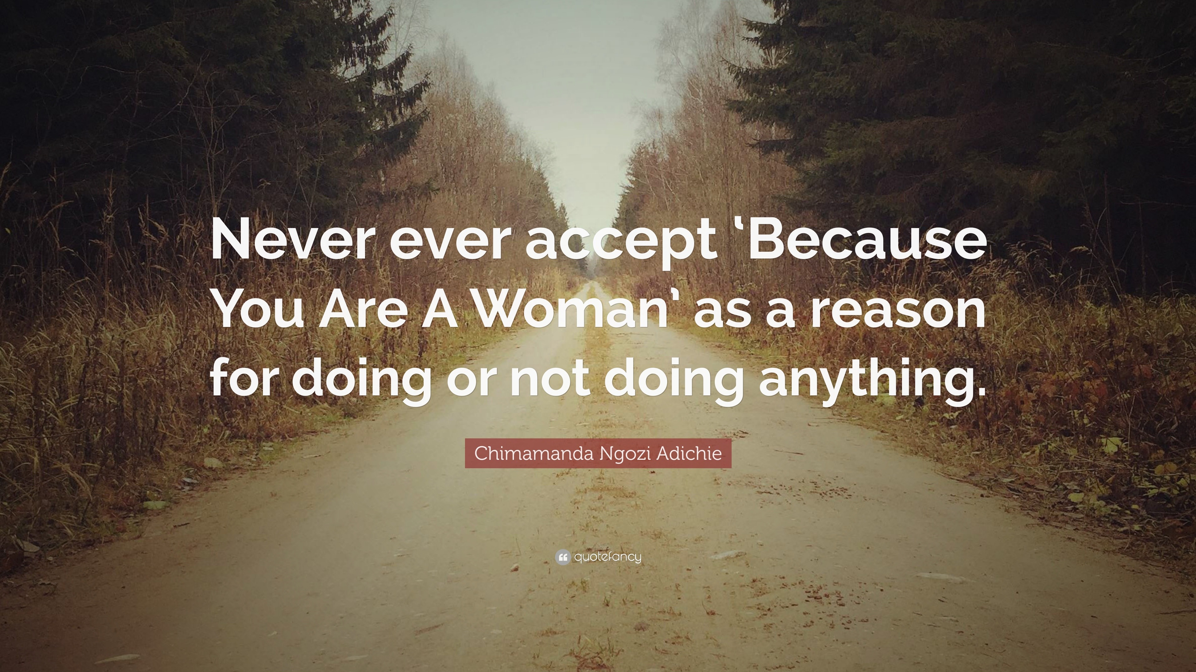 Chimamanda Ngozi Adichie Quote: “Never ever accept ‘Because You Are A ...