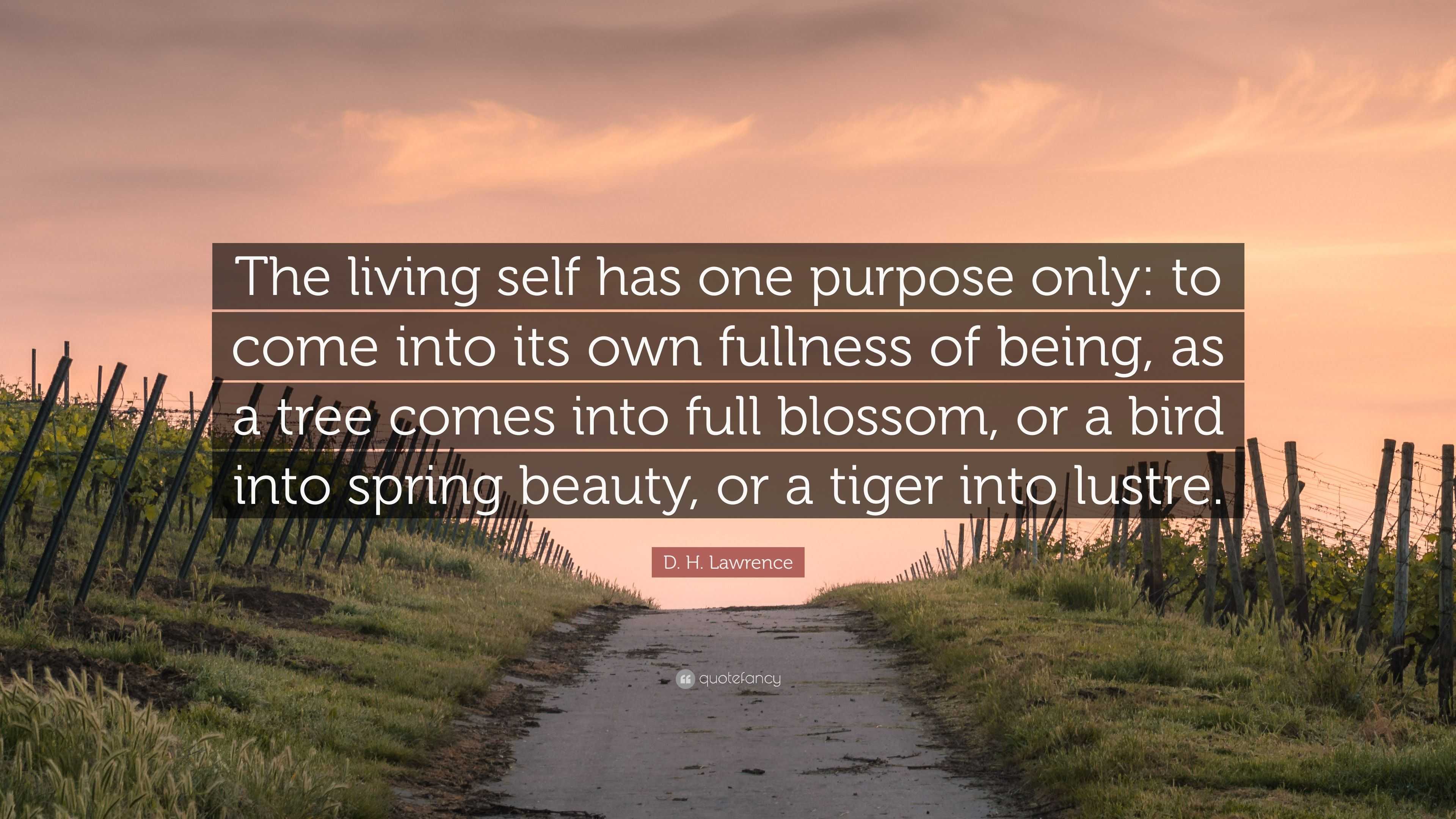 D H Lawrence Quote The Living Self Has One Purpose Only To Come