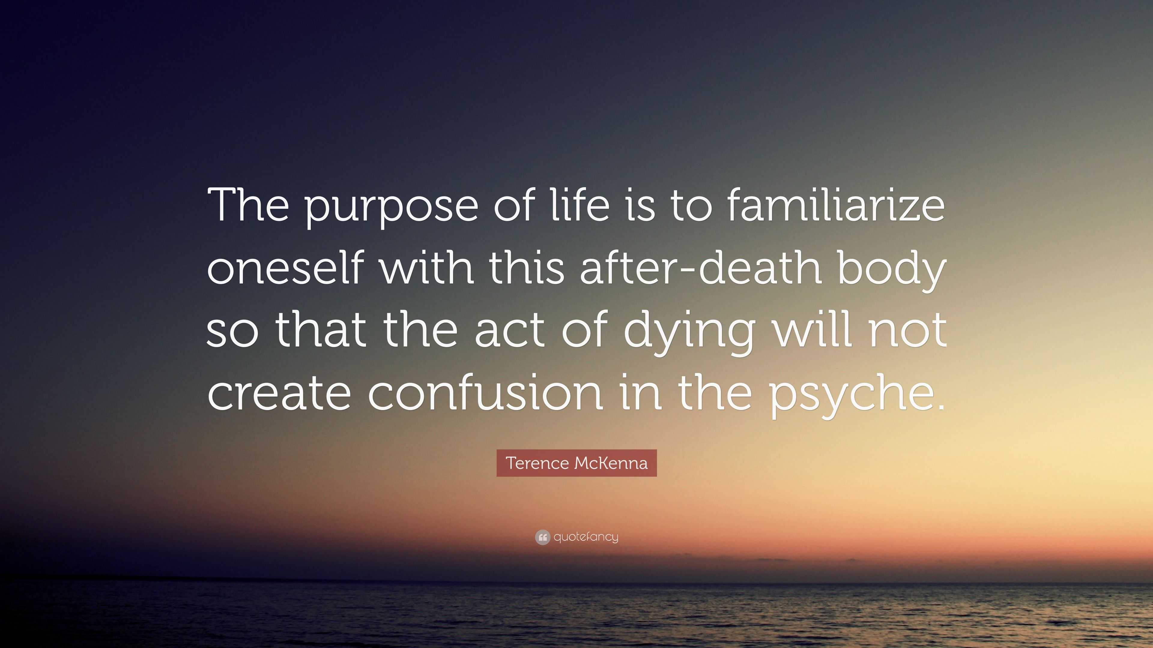 Terence McKenna Quote “The purpose of life is to familiarize oneself with this afterdeath body