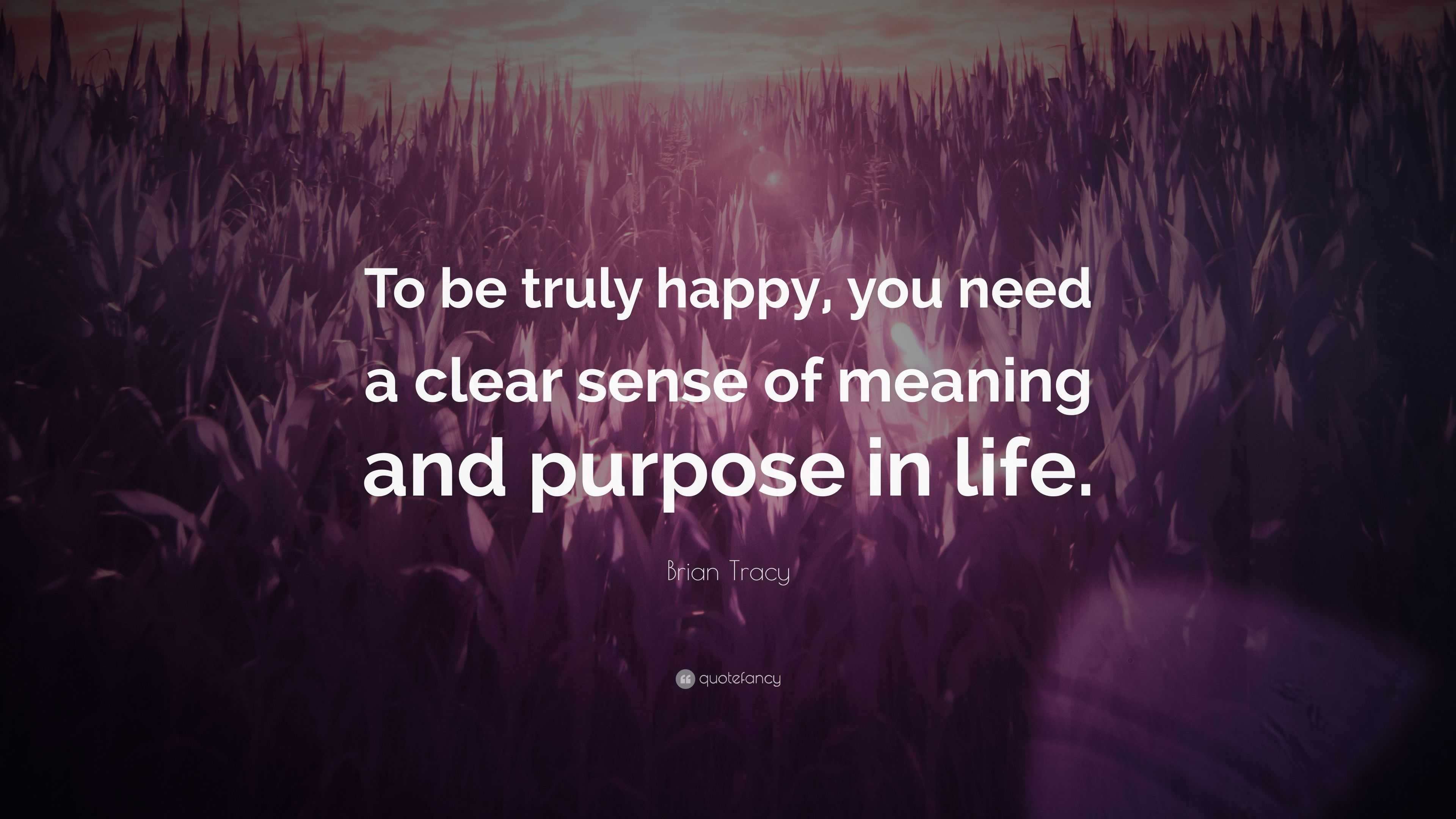 Brian Tracy Quote: “To be truly happy, you need a clear sense of ...