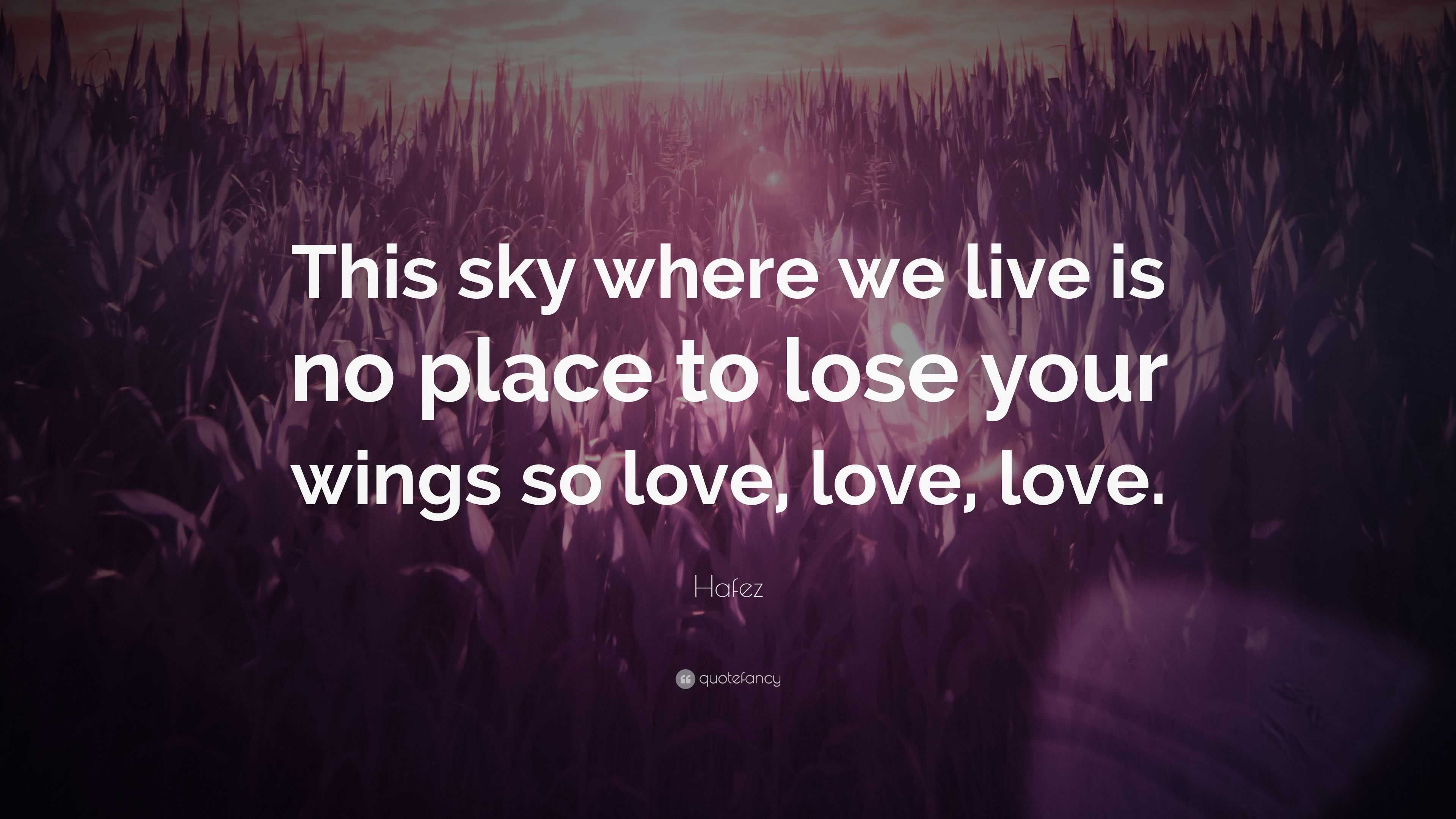 Hafez Quote “this Sky Where We Live Is No Place To Lose Your Wings So