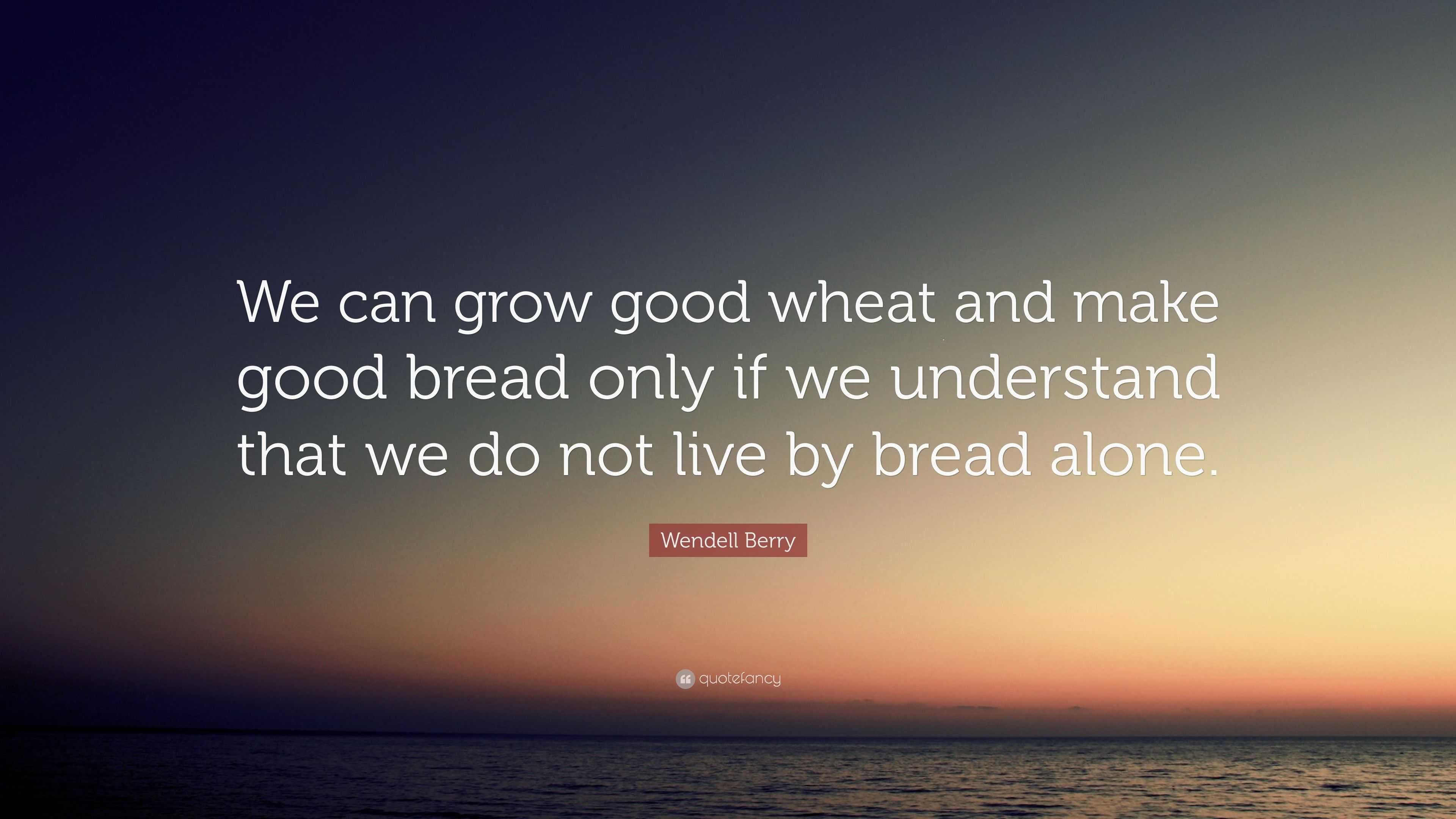 Wendell Berry Quote “We can grow good wheat and make good bread only
