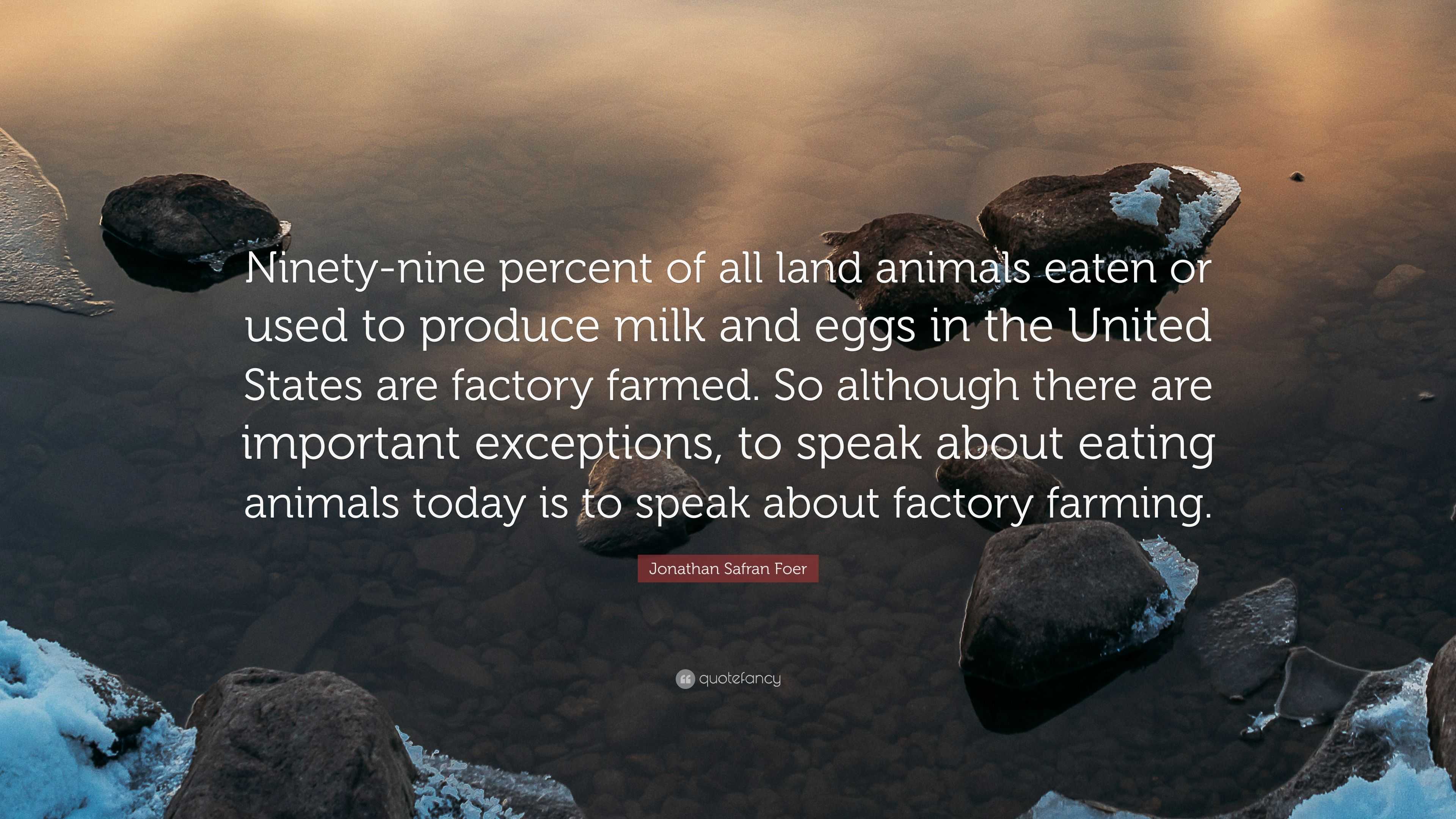 Jonathan Safran Foer Quote: “Ninety-nine percent of all land animals eaten  or used to produce milk and eggs in the United States are factory farmed.  ...”