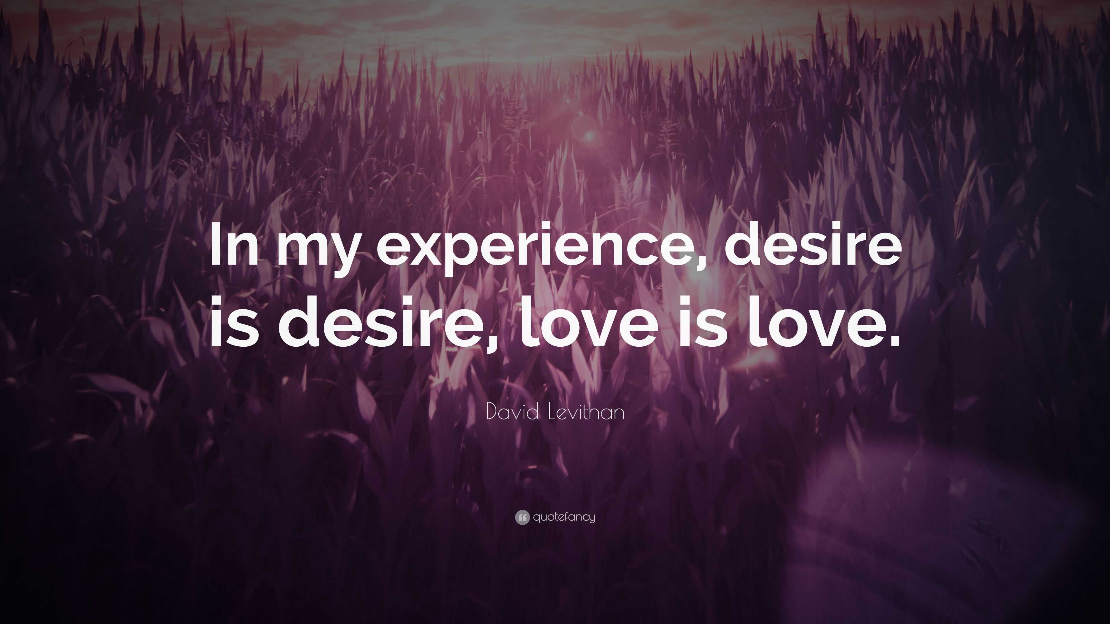 David Levithan Quote: “In my experience, desire is desire, love is love.”