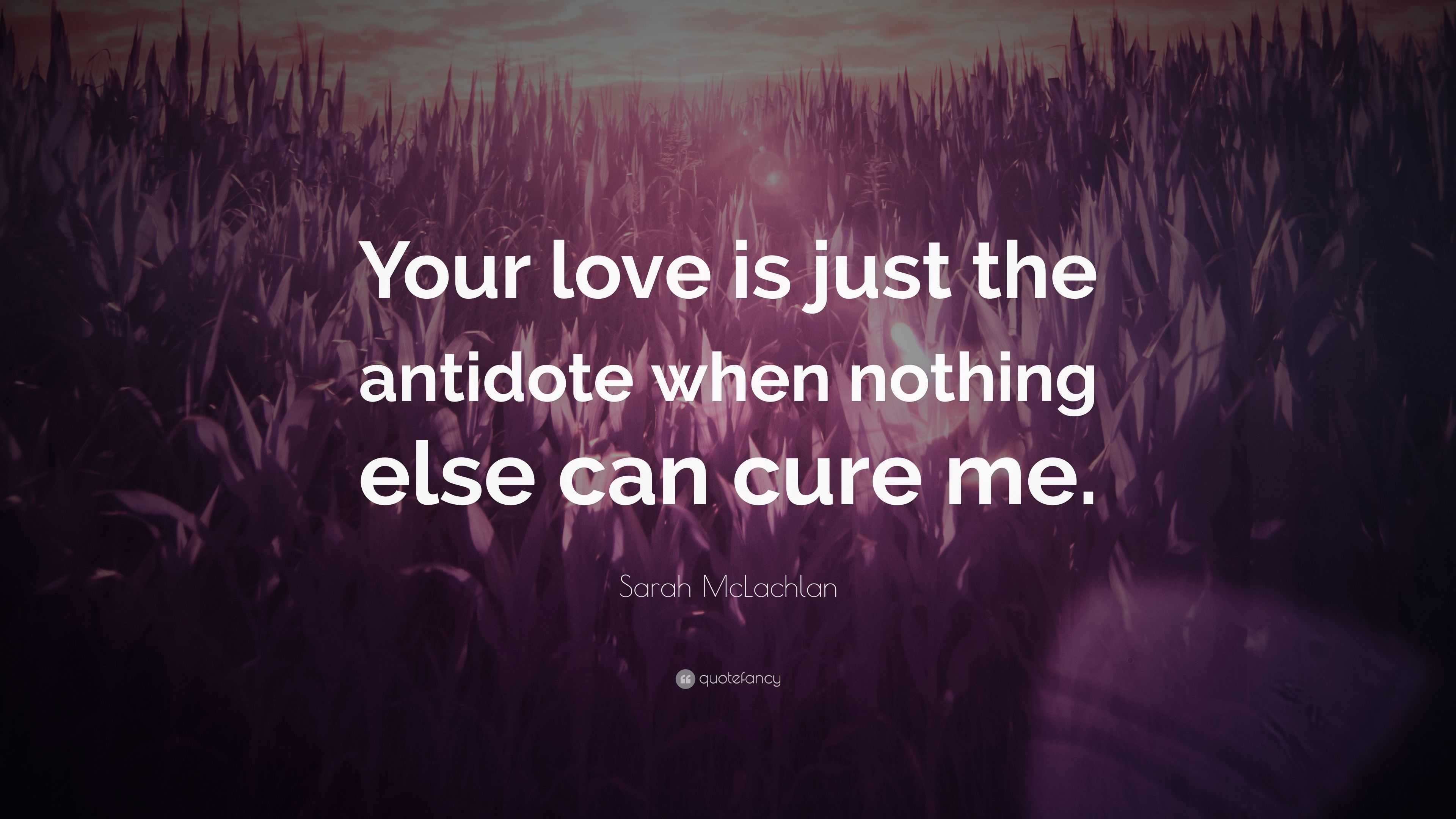 Sarah McLachlan Quote: “Your love is just the antidote when nothing ...