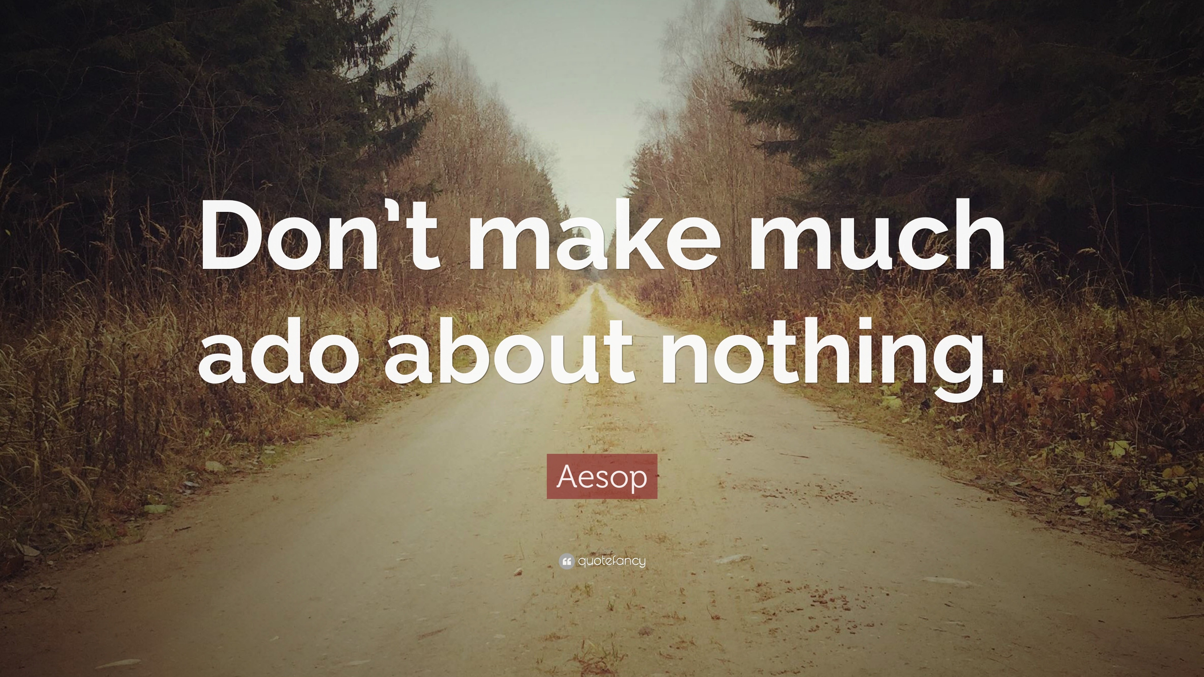 Aesop Quote “dont Make Much Ado About Nothing ”