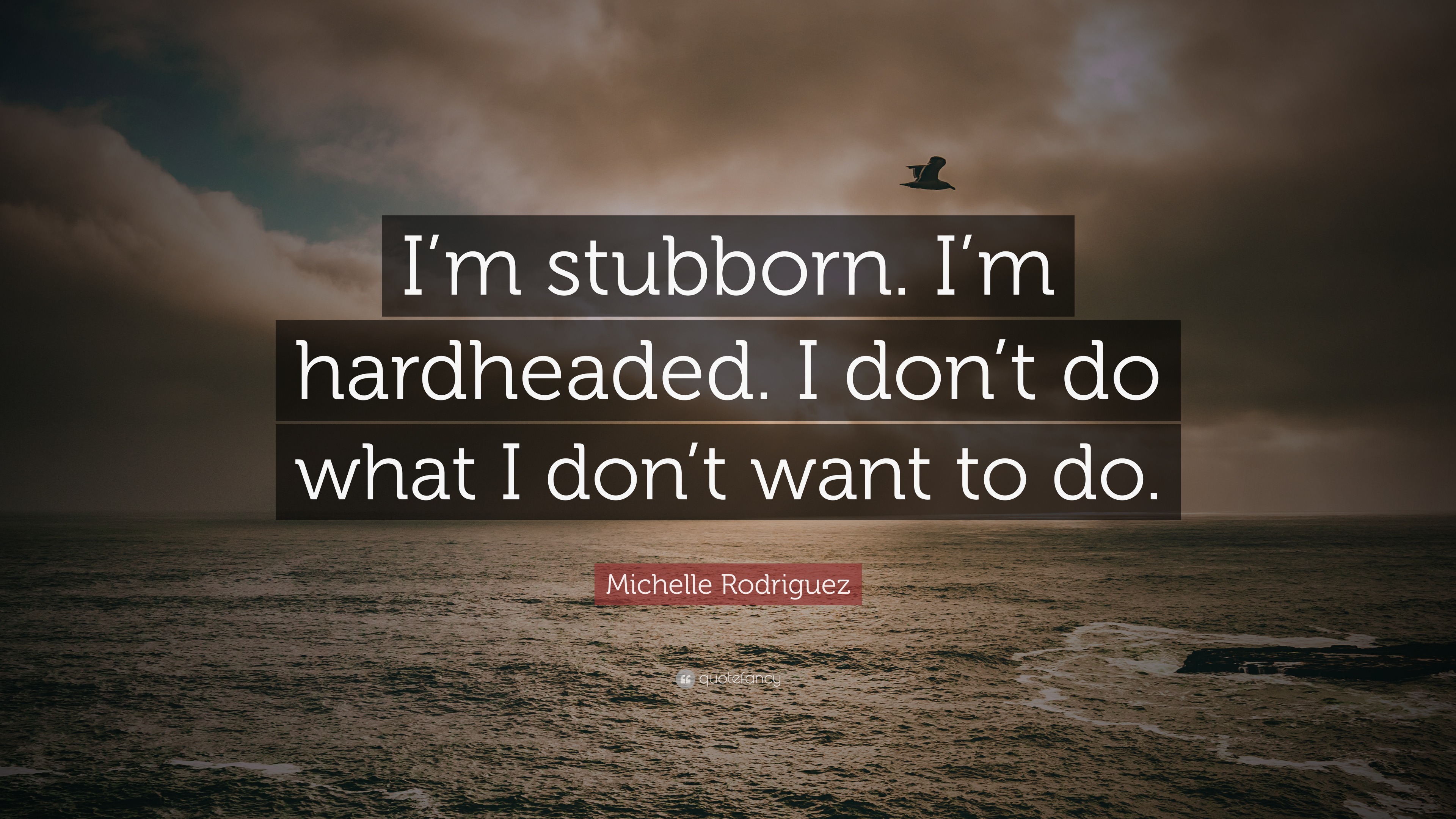 Michelle Rodriguez Quote I M Stubborn I M Hardheaded I Don T Do What I Don