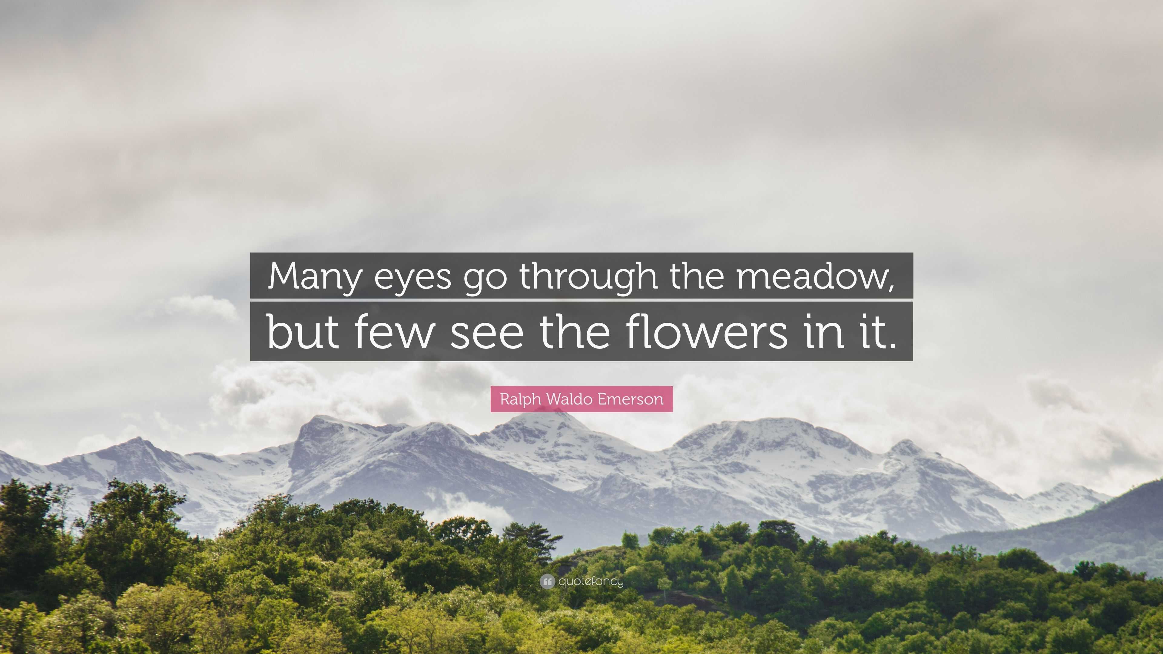 Ralph Waldo Emerson Quote: “Many eyes go through the meadow, but few ...