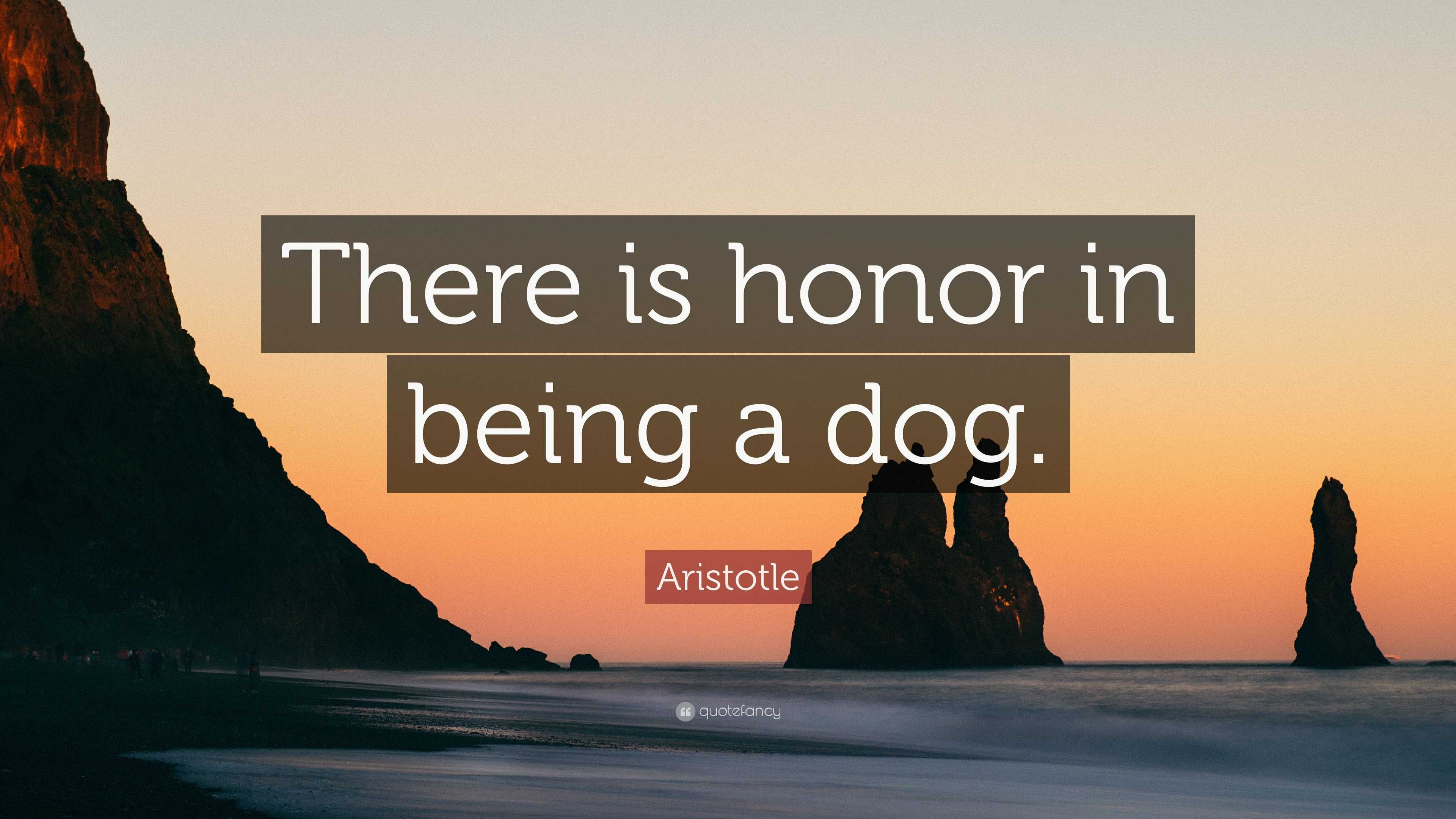 Aristotle Quote: “There is honor in being a dog.”