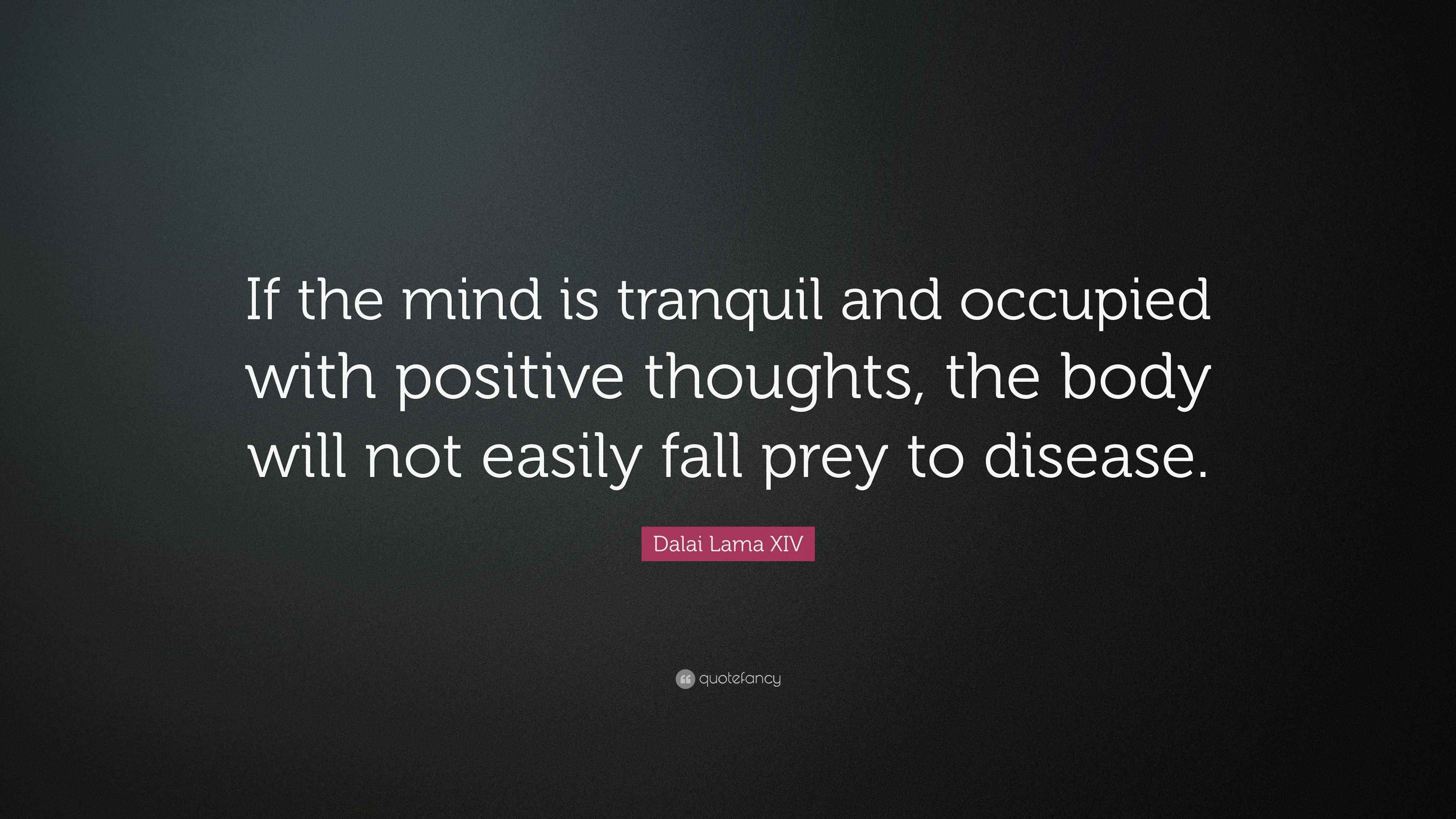Dalai Lama XIV Quote “If the mind is tranquil and occupied with positive thoughts, the body