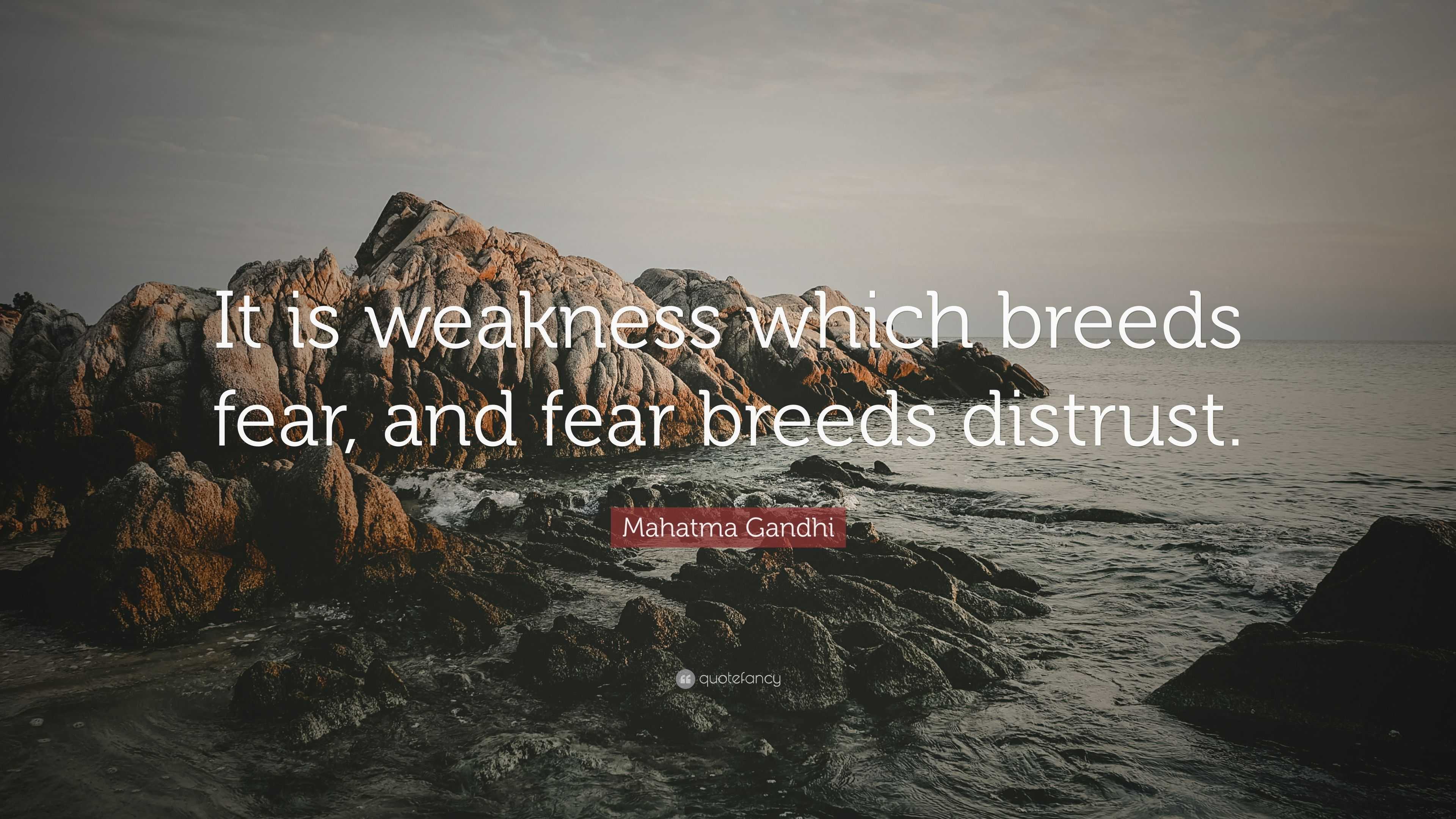 Mahatma Gandhi Quote: “It is weakness which breeds fear, and fear ...