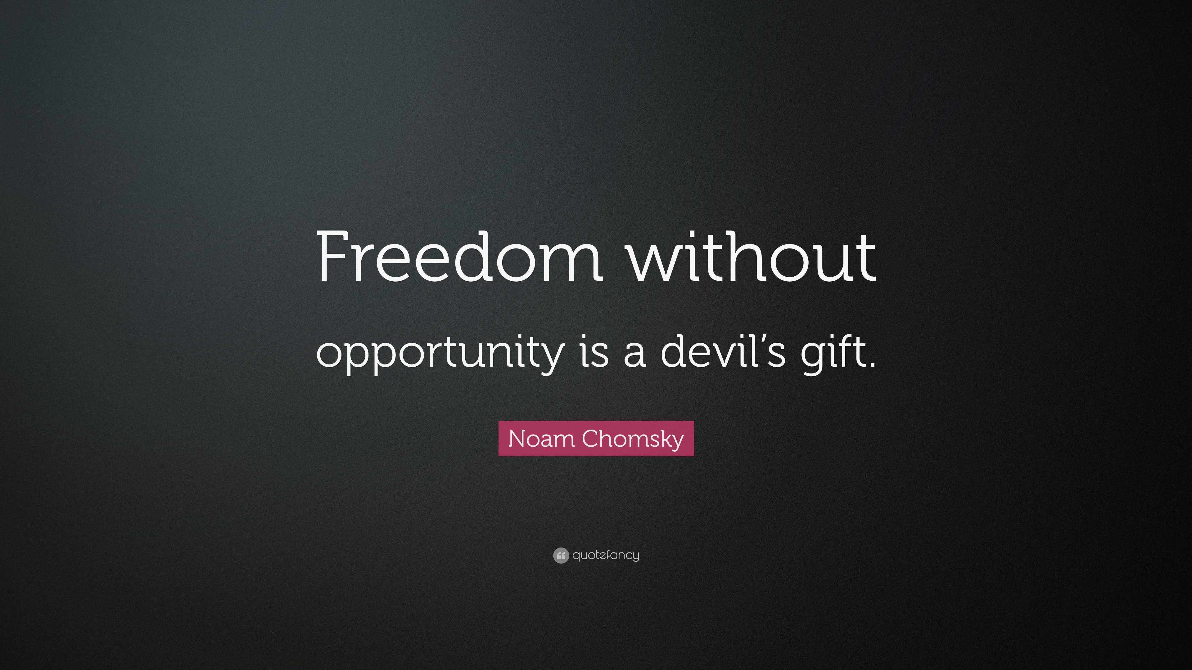 Noam Chomsky Quote: “Freedom without opportunity is a devil’s gift.”