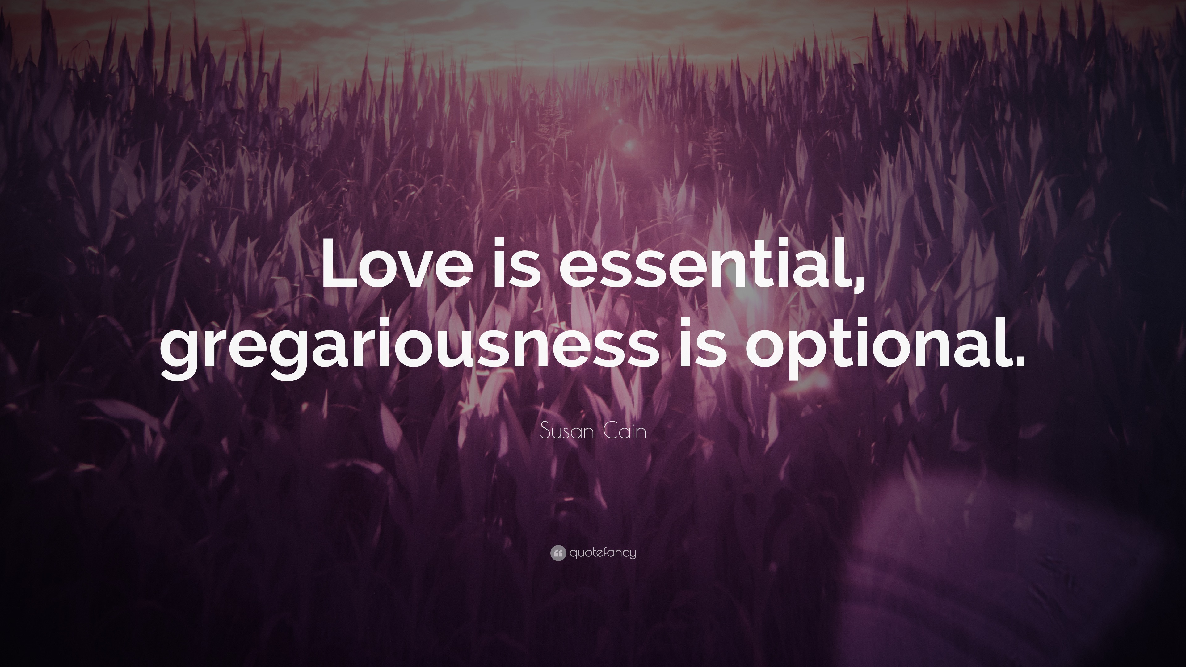 Susan Cain Quote: “Love is essential, gregariousness is optional.”