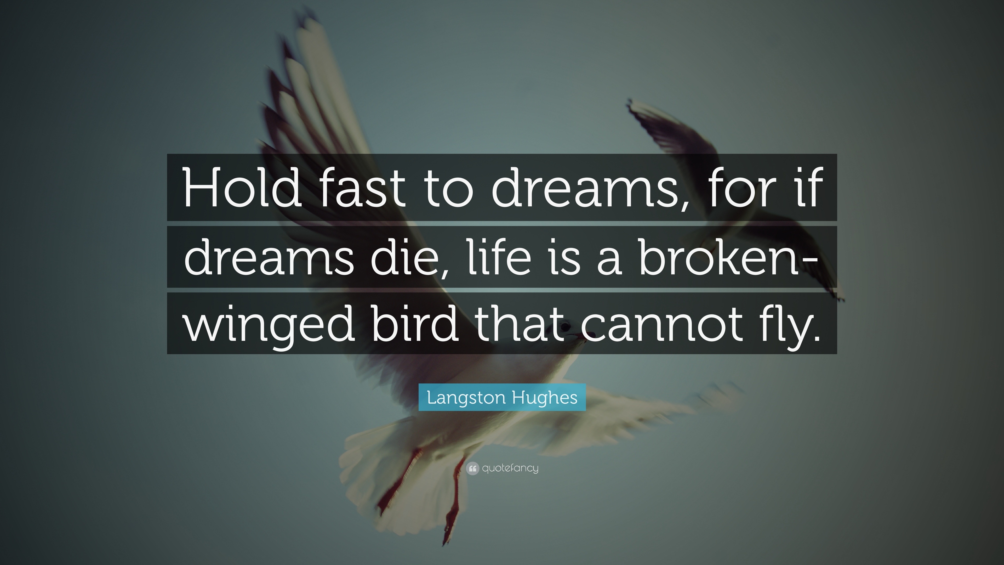 Langston Hughes Quote Hold Fast To Dreams For If Dreams Die Life Is 