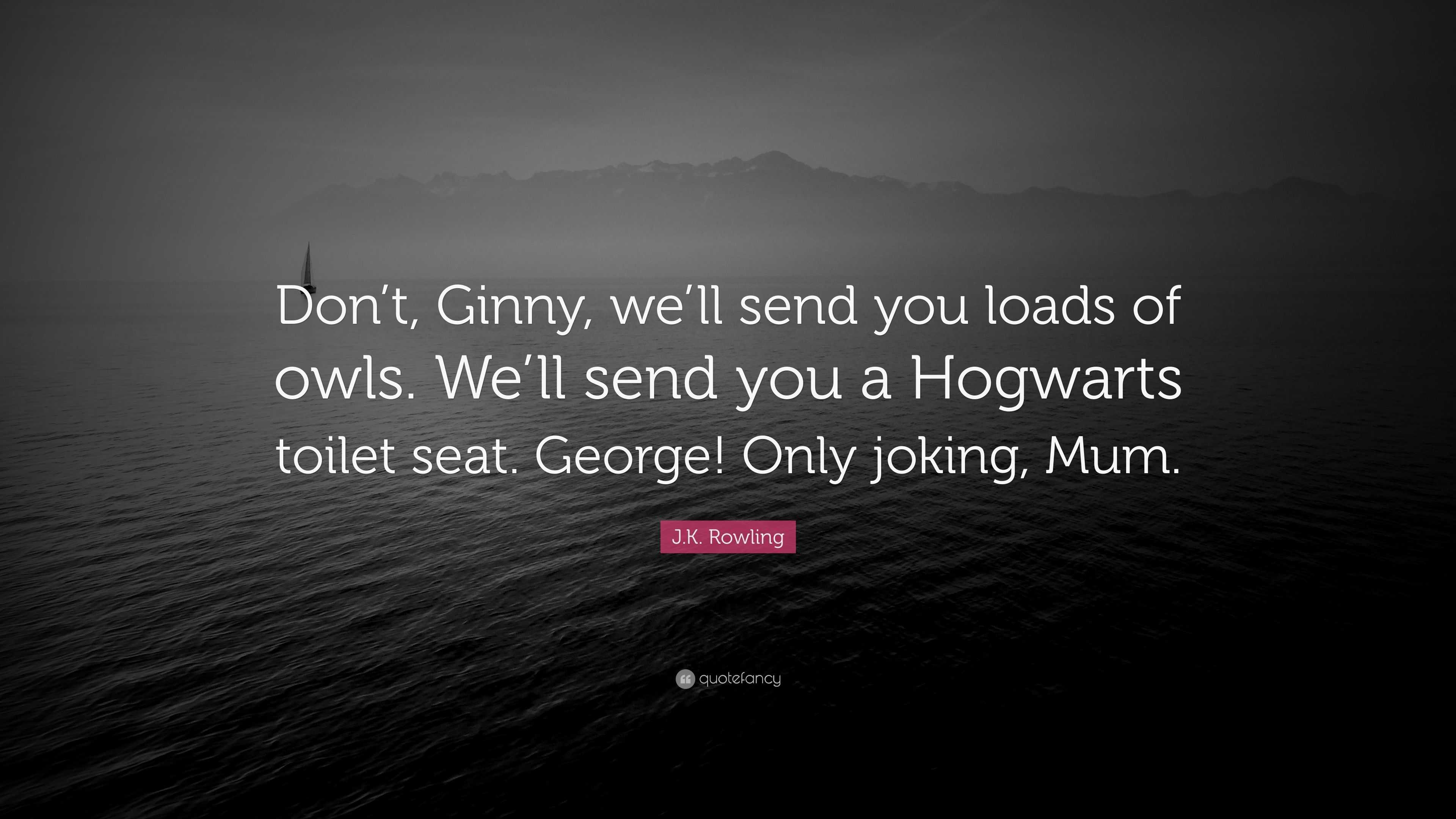 J K Rowling Quote “Don t Ginny we ll send you