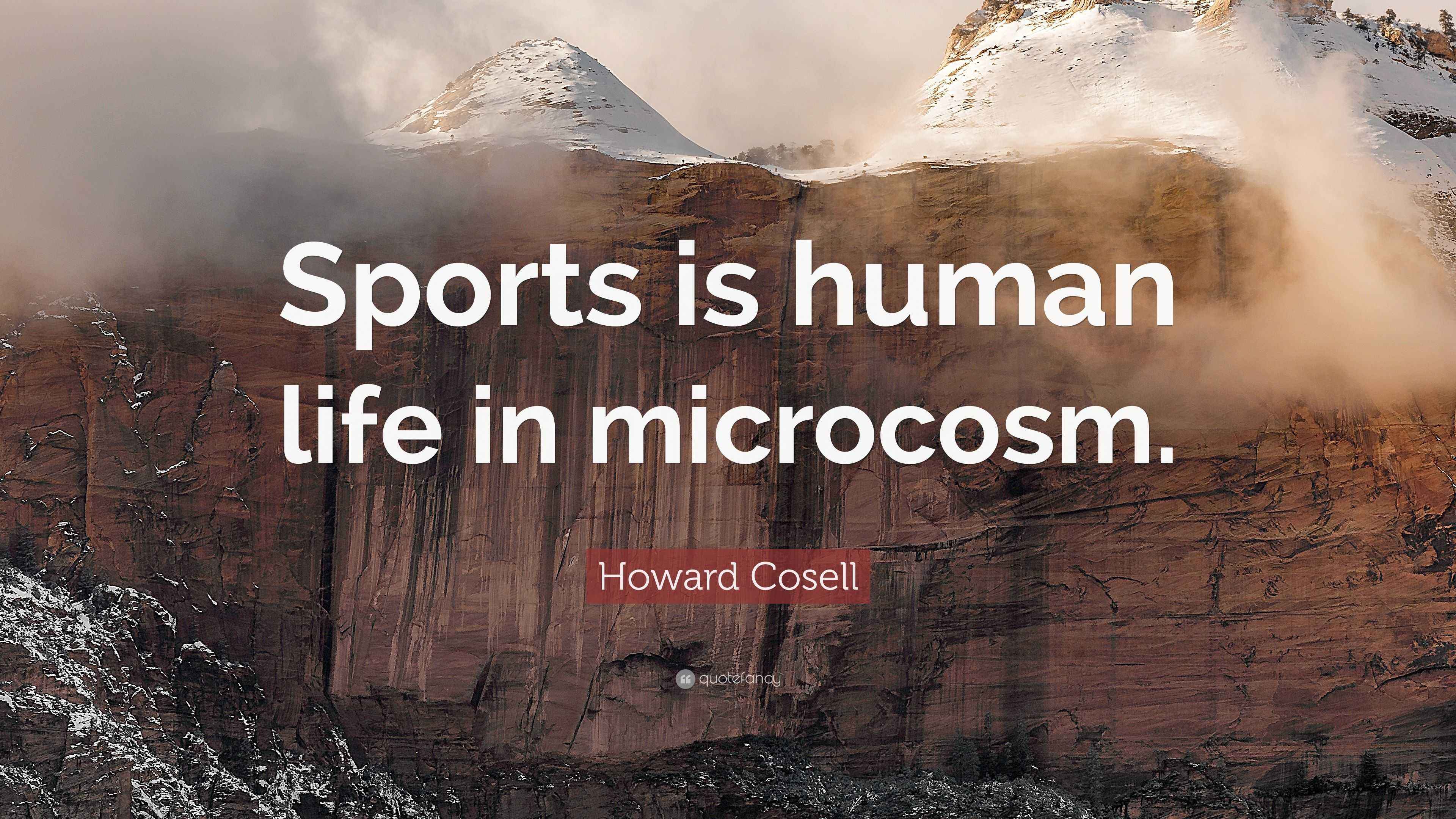 Howard Cosell Quote “Sports is human life in microcosm.”