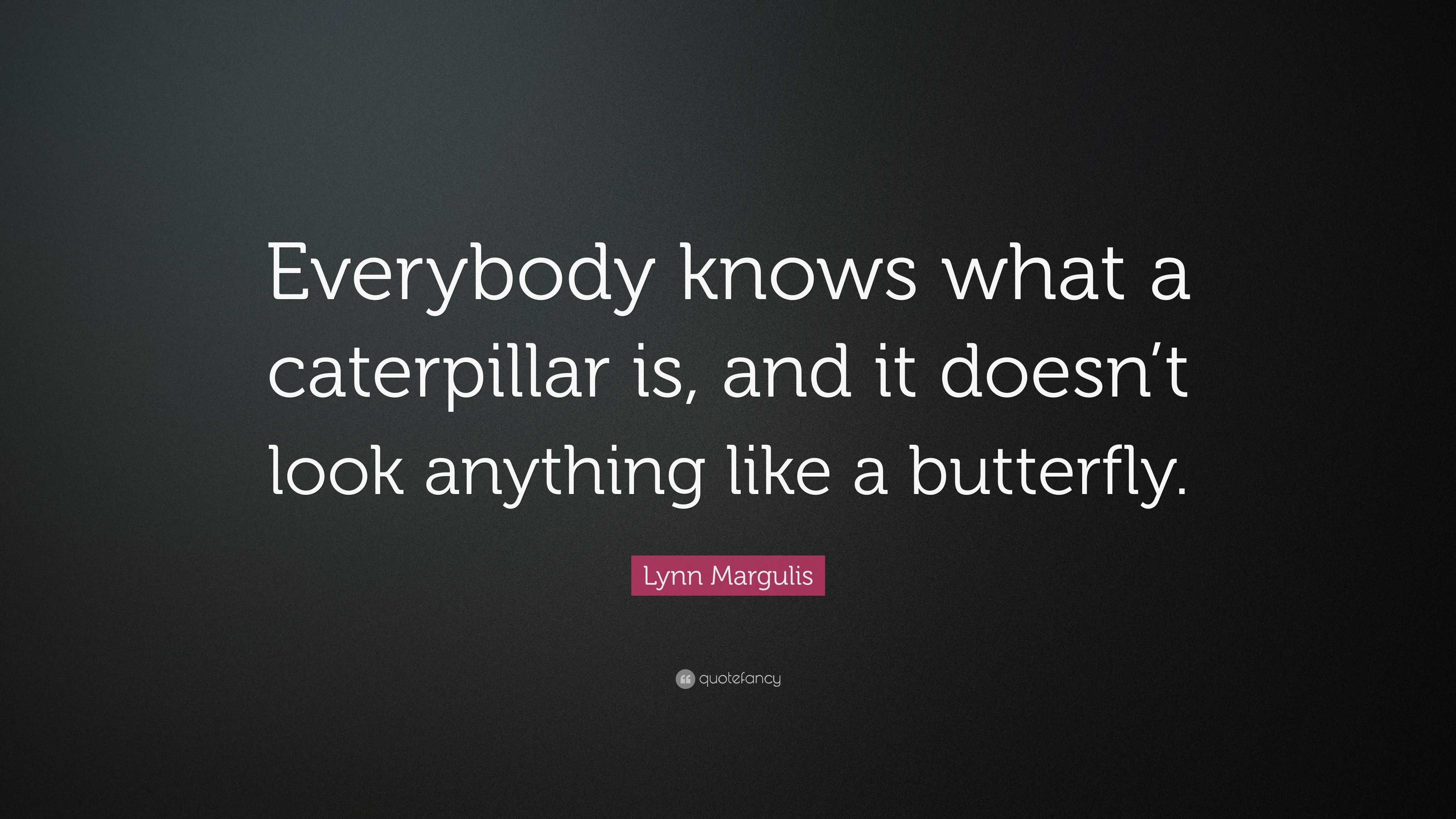 Lynn Margulis Quote: “everybody Knows What A Caterpillar Is, And It 