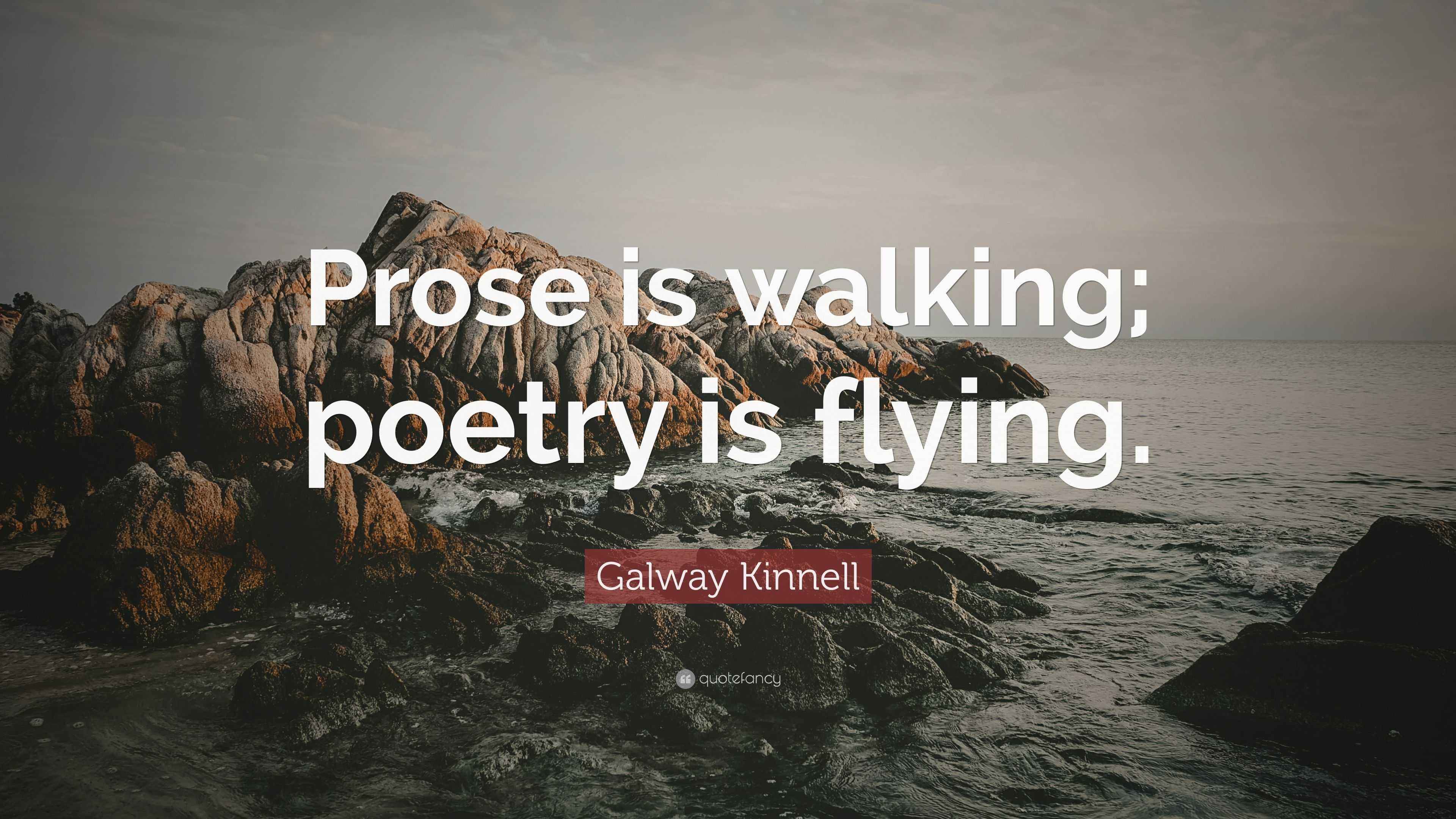 Galway Kinnell Quote “Prose is walking; poetry is flying.”