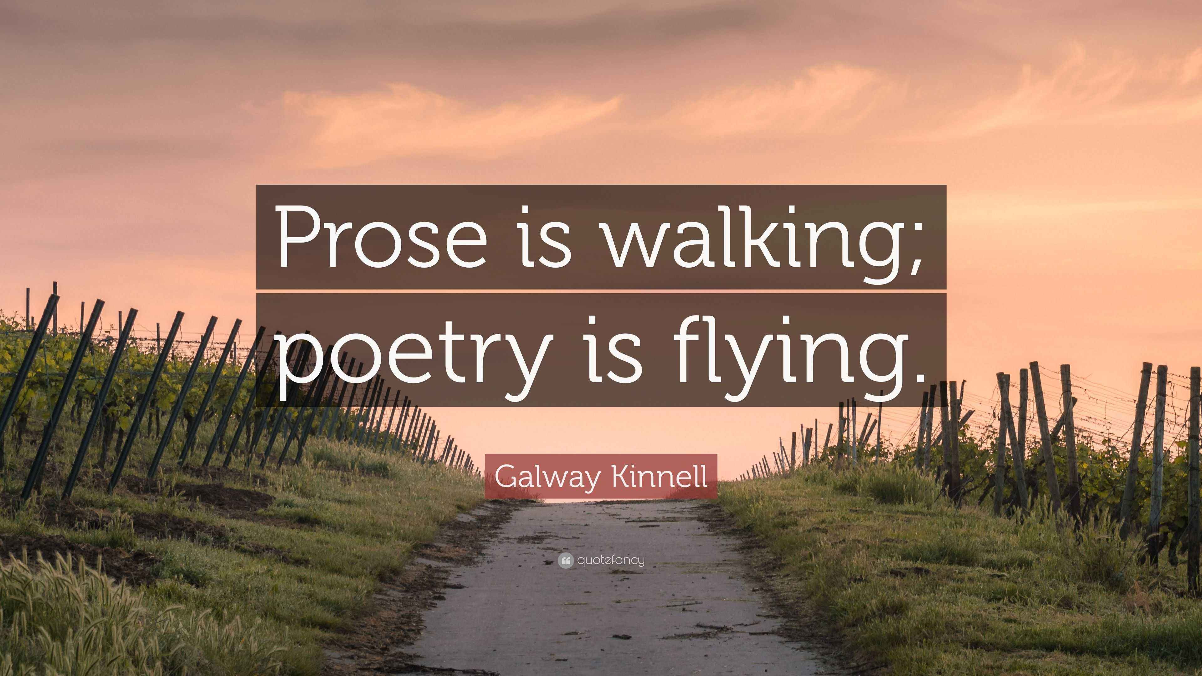 Galway Kinnell Quote “Prose is walking; poetry is flying.”