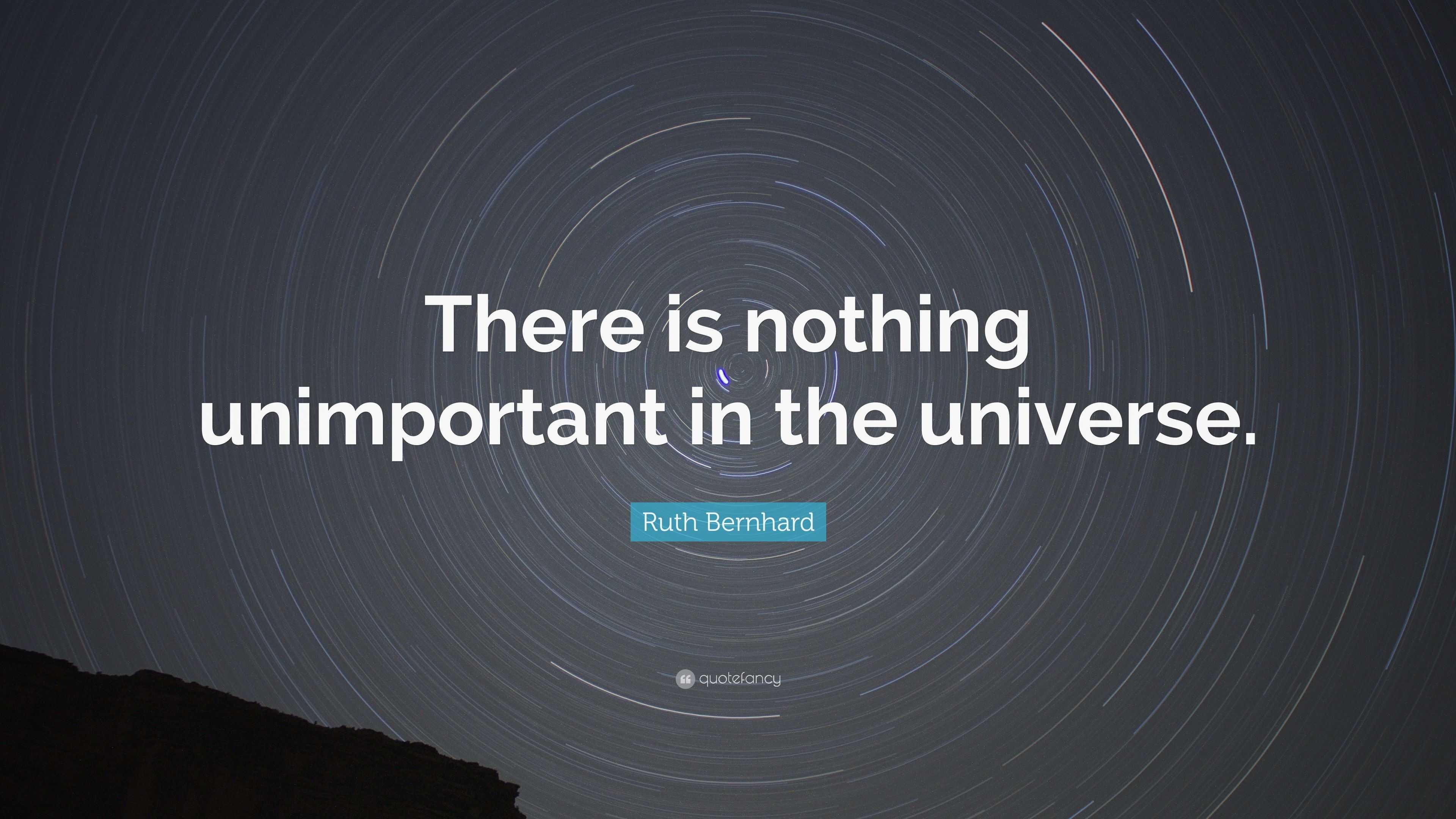 Ruth Bernhard Quote: “There is nothing unimportant in the universe.”