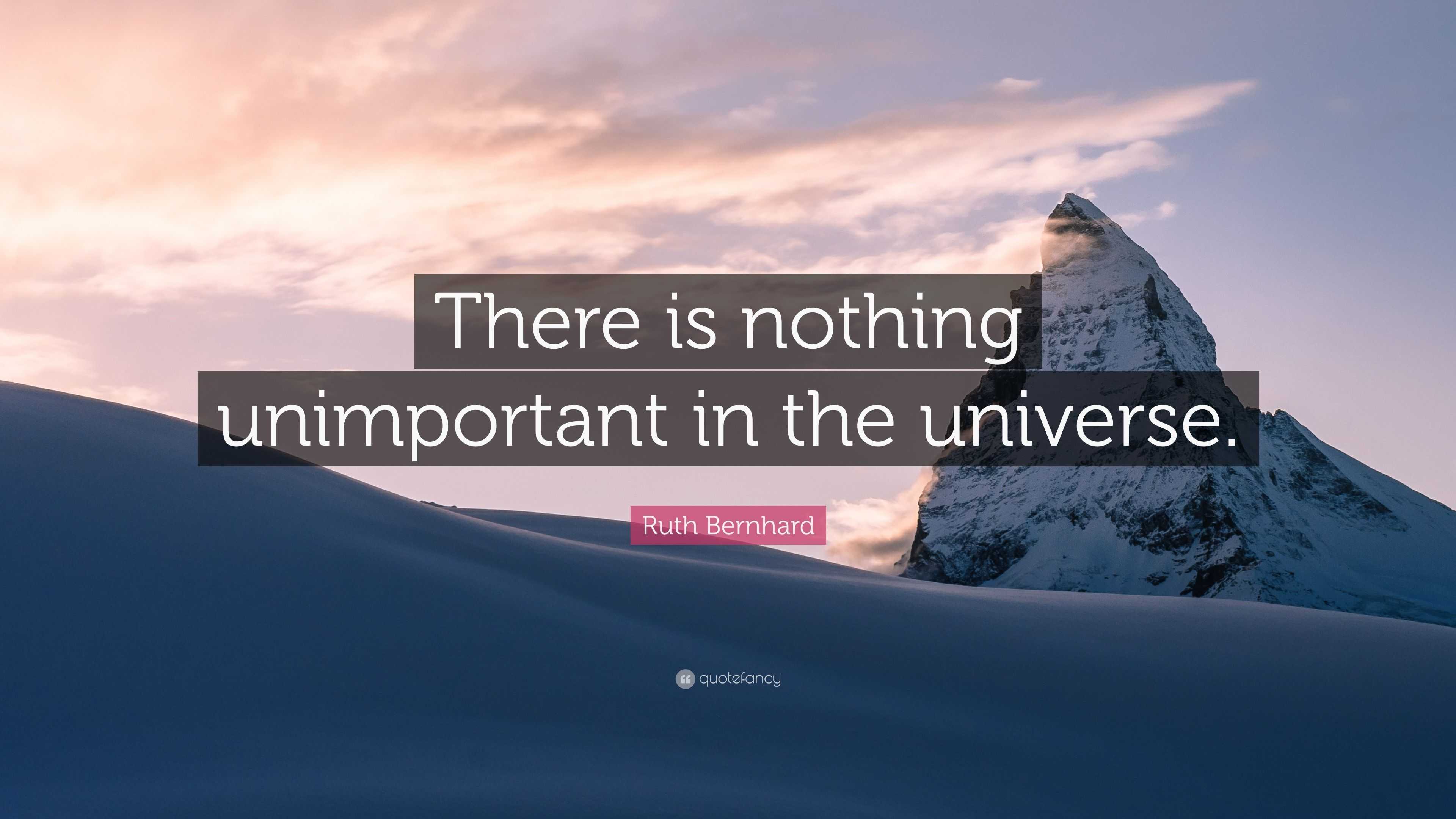 Ruth Bernhard Quote: “There is nothing unimportant in the universe.”