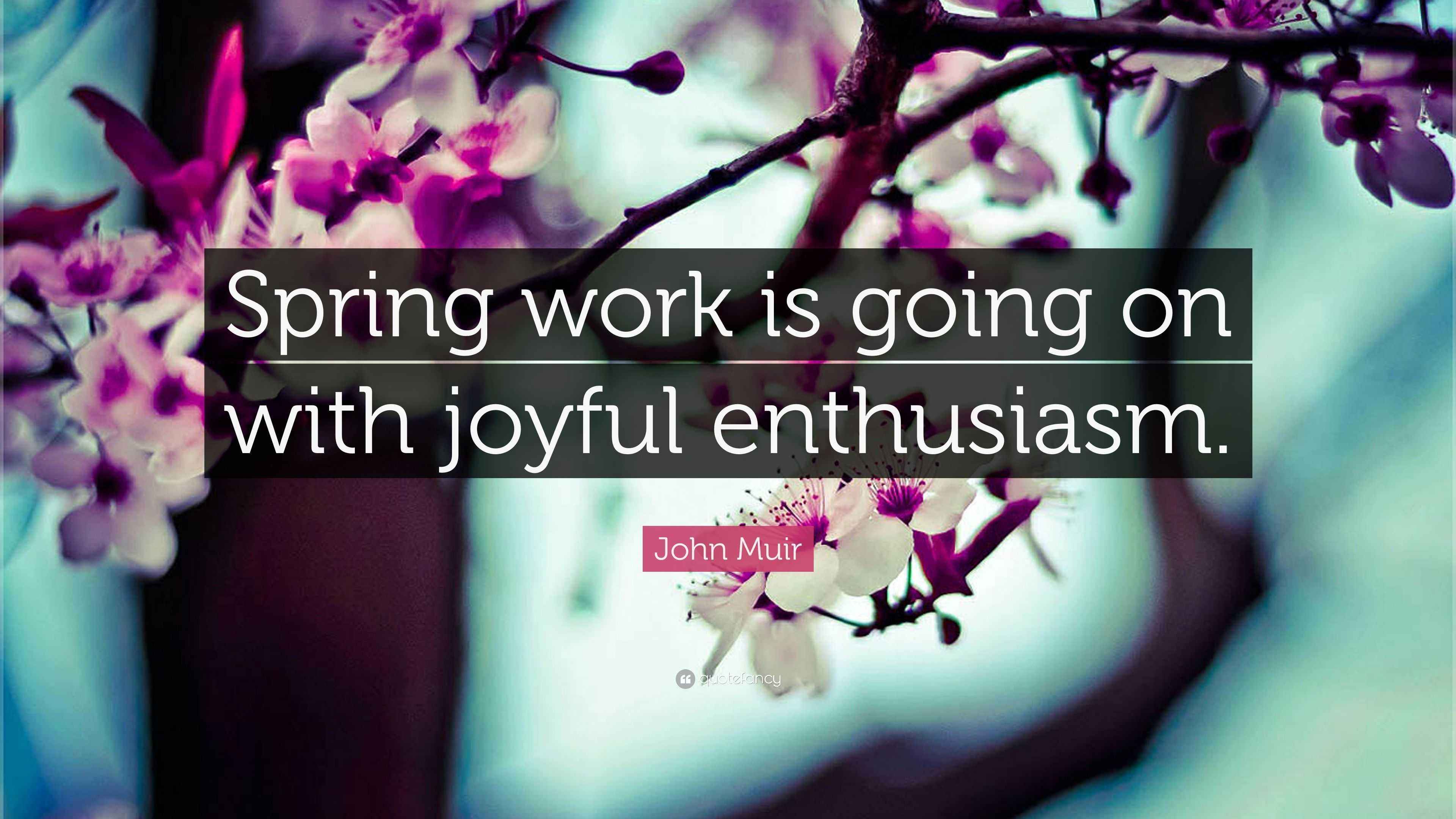 John Muir Quote “Spring work is going on with joyful enthusiasm.”