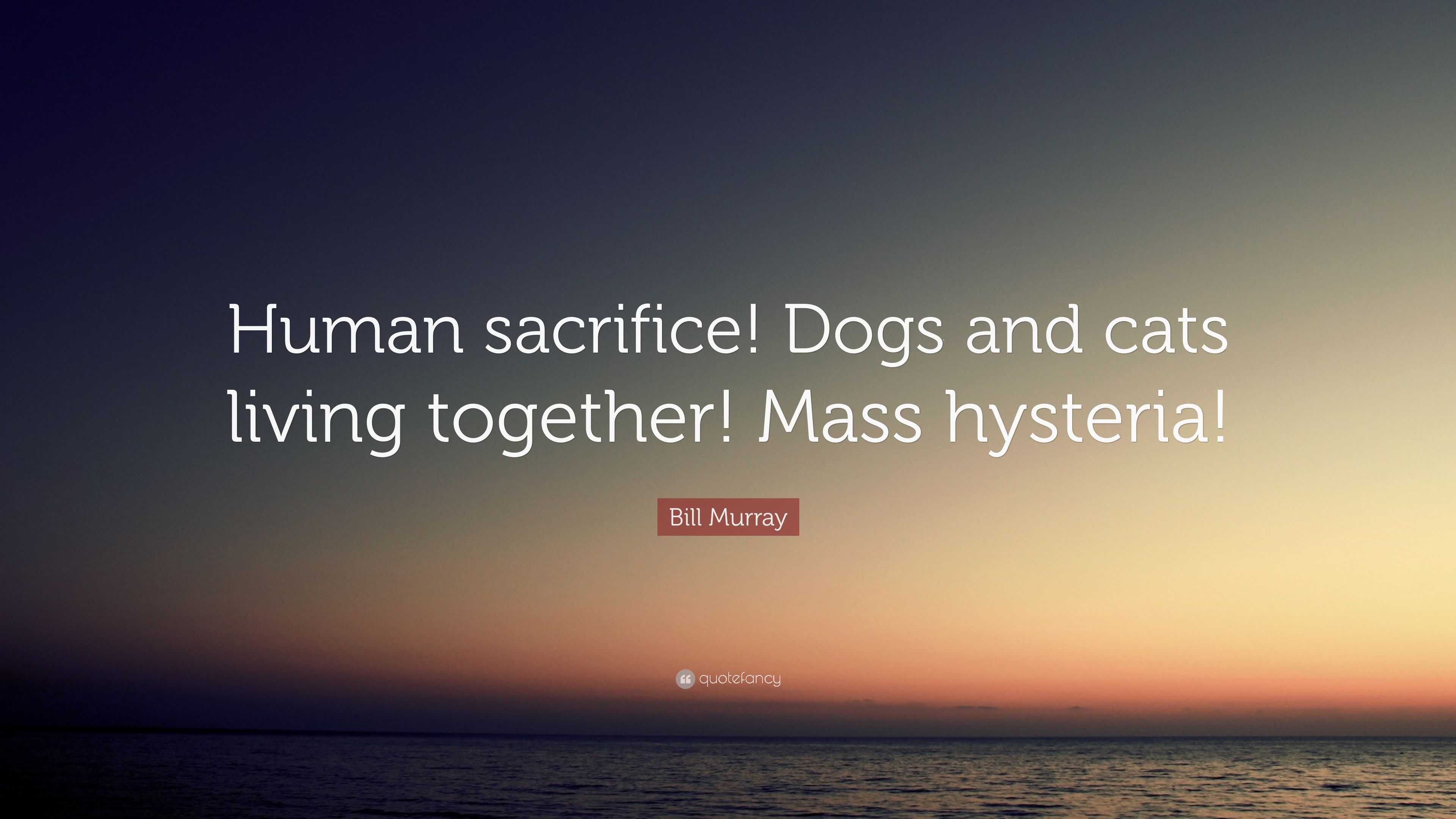 Bill Murray Quote Human Sacrifice Dogs And Cats Living Together Mass Hysteria