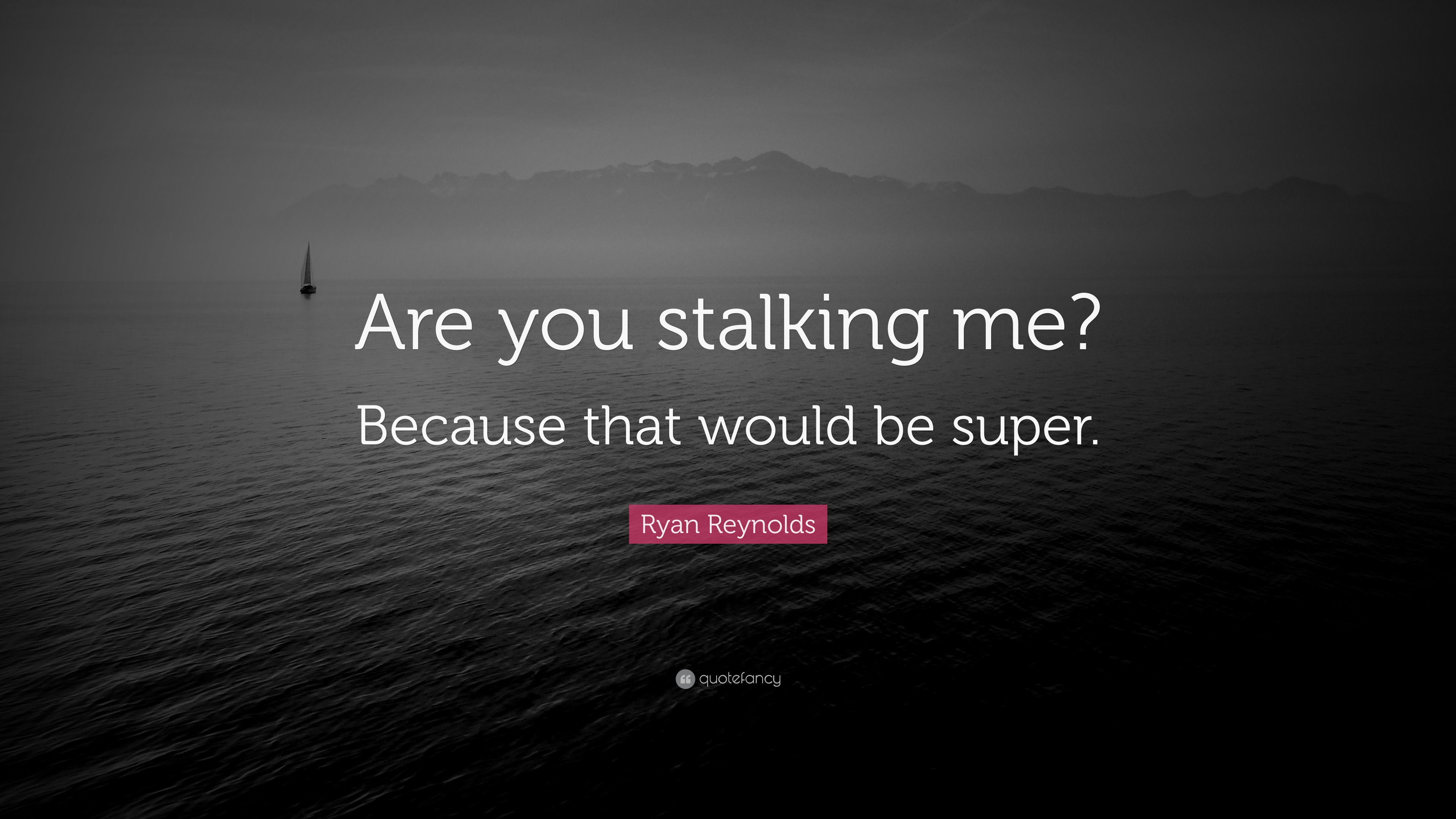 stalkers quotes