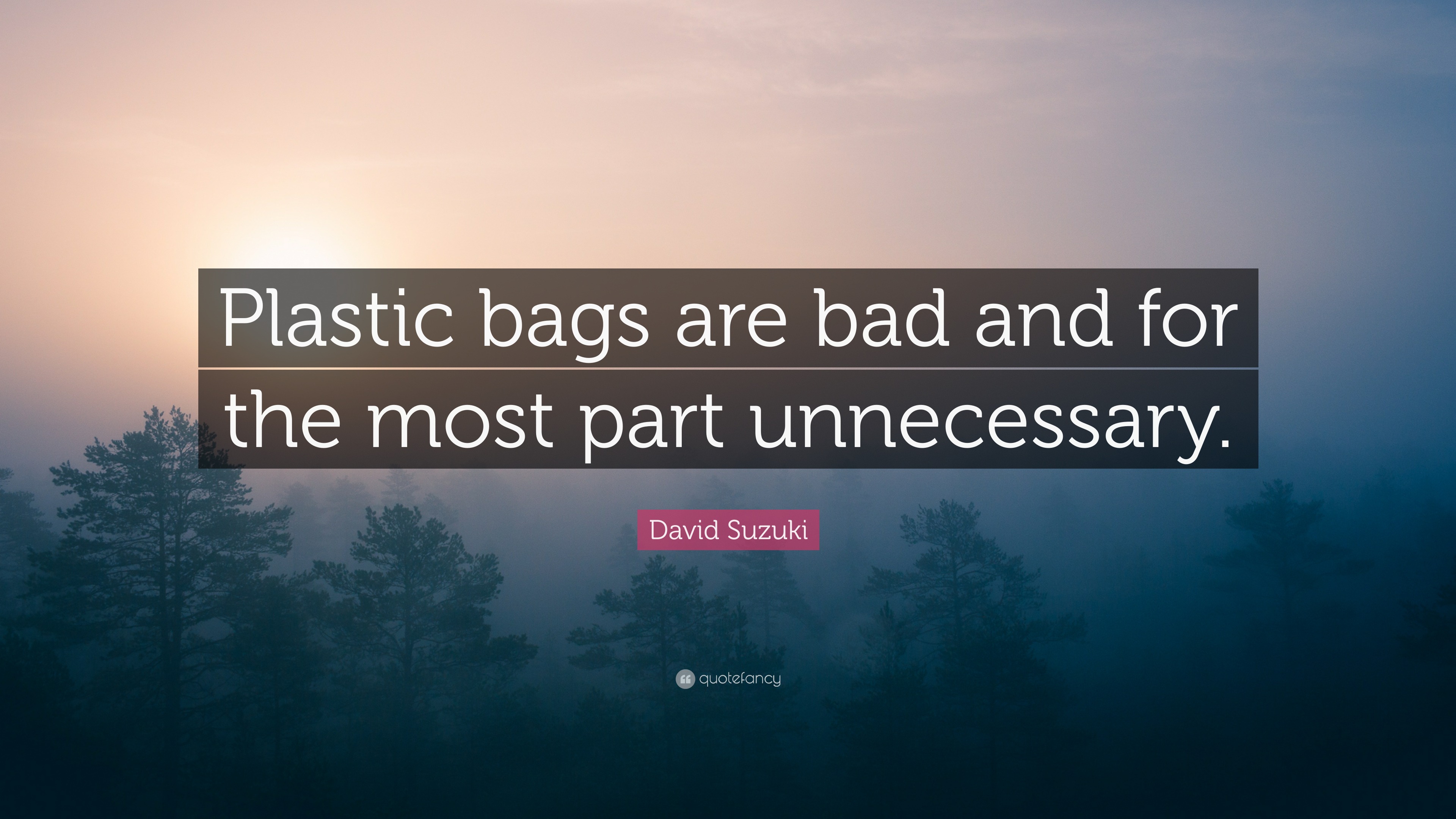 David Suzuki Quote “Plastic bags are bad and for the most part