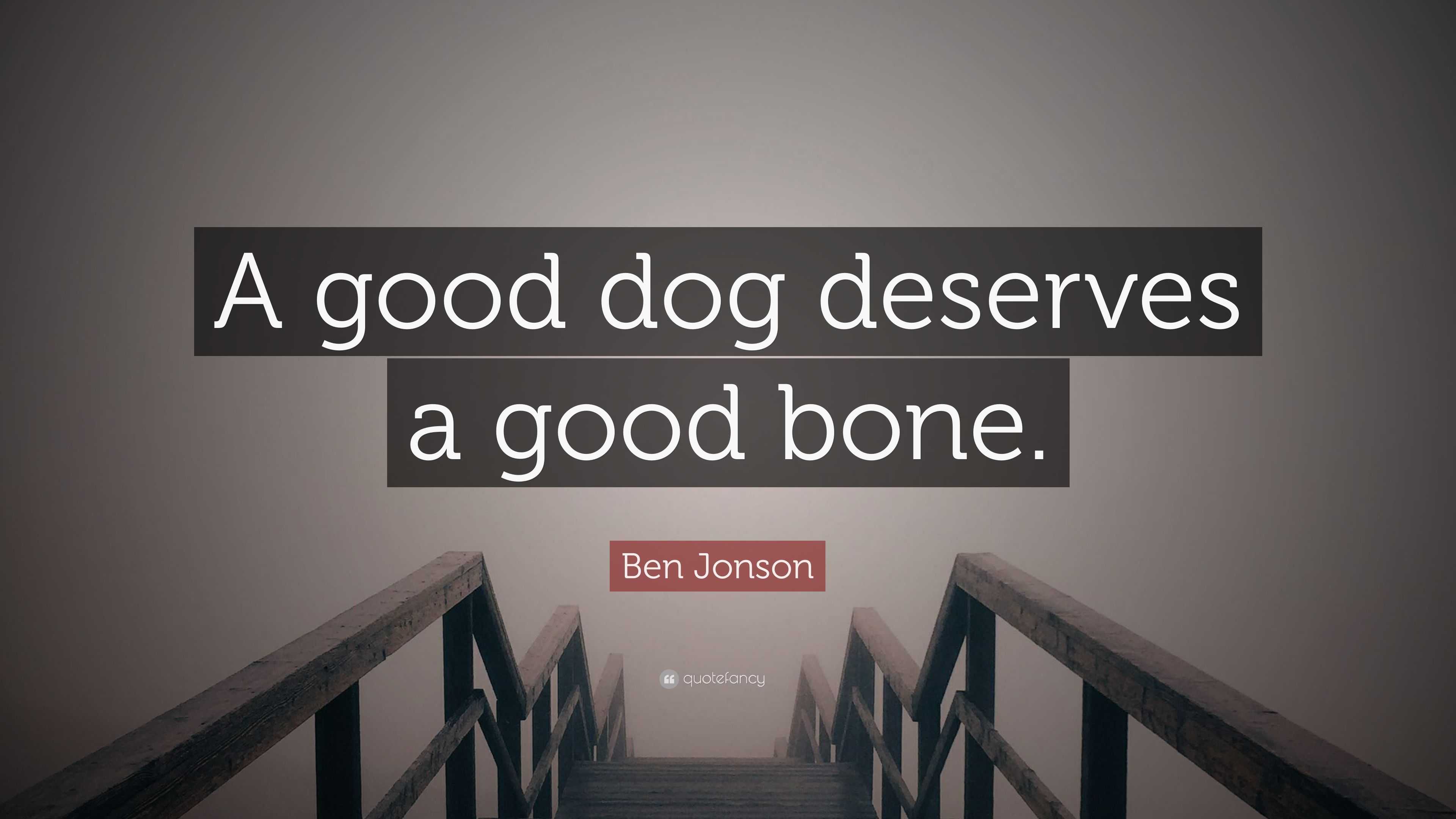 a good dog deserves a good bone