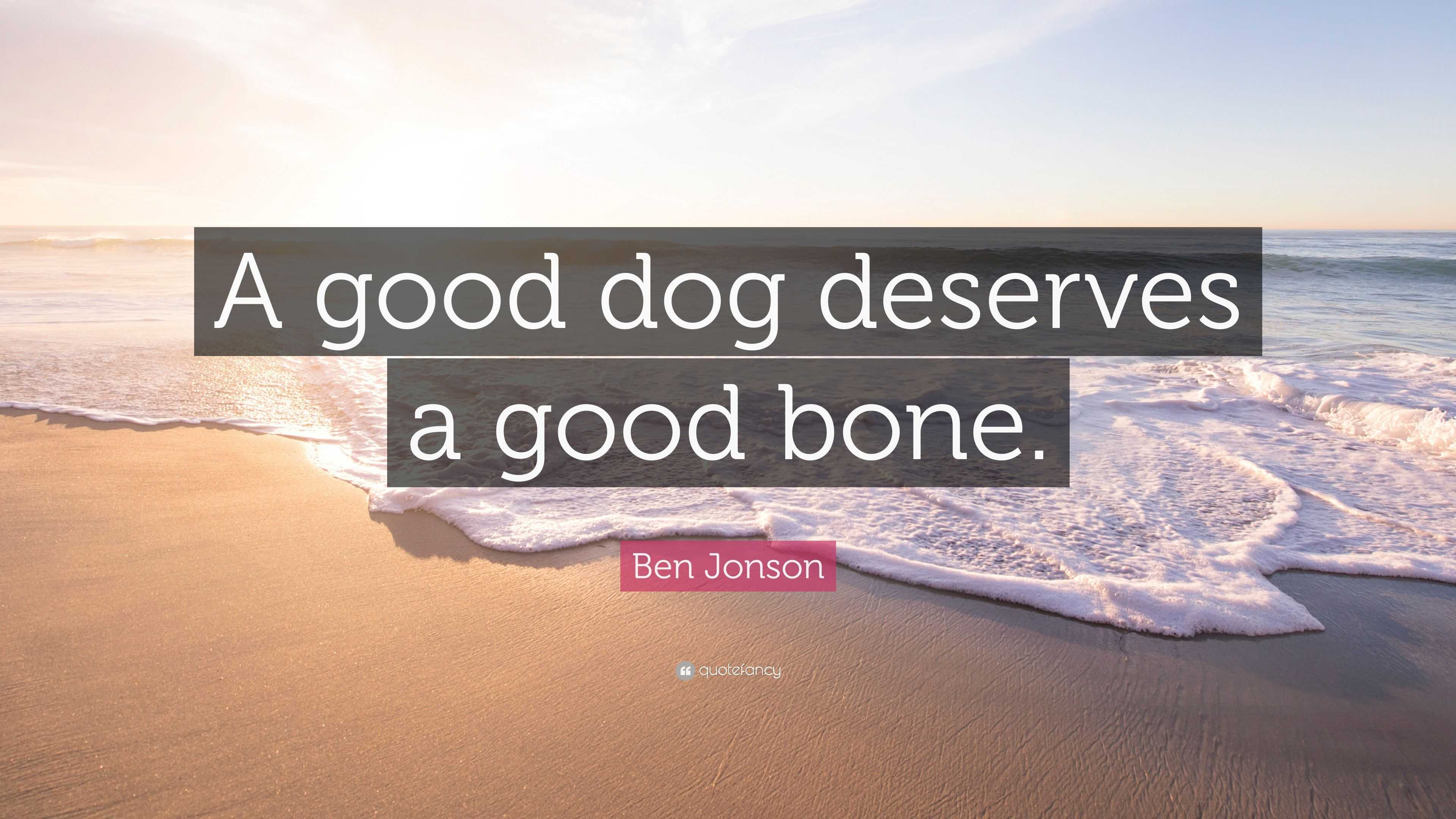 a good dog deserves a good bone