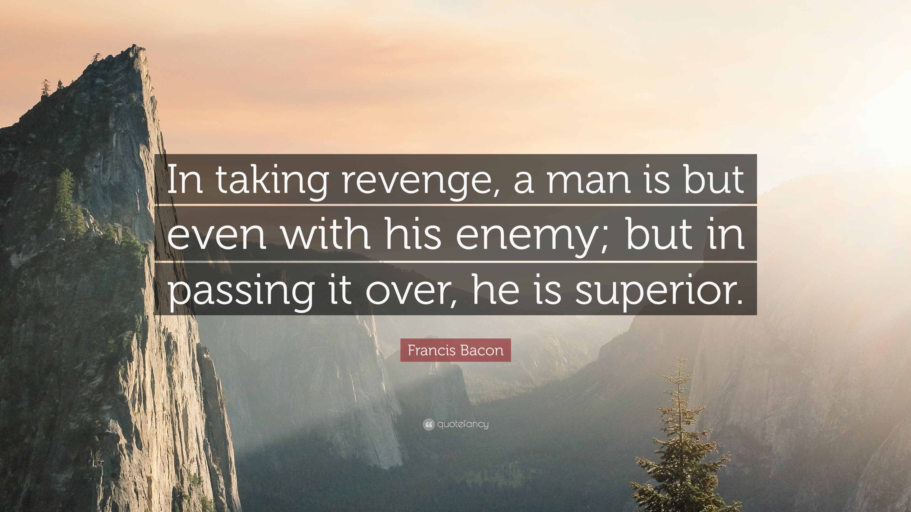 Francis Bacon Quote: “In taking revenge, a man is but even with his