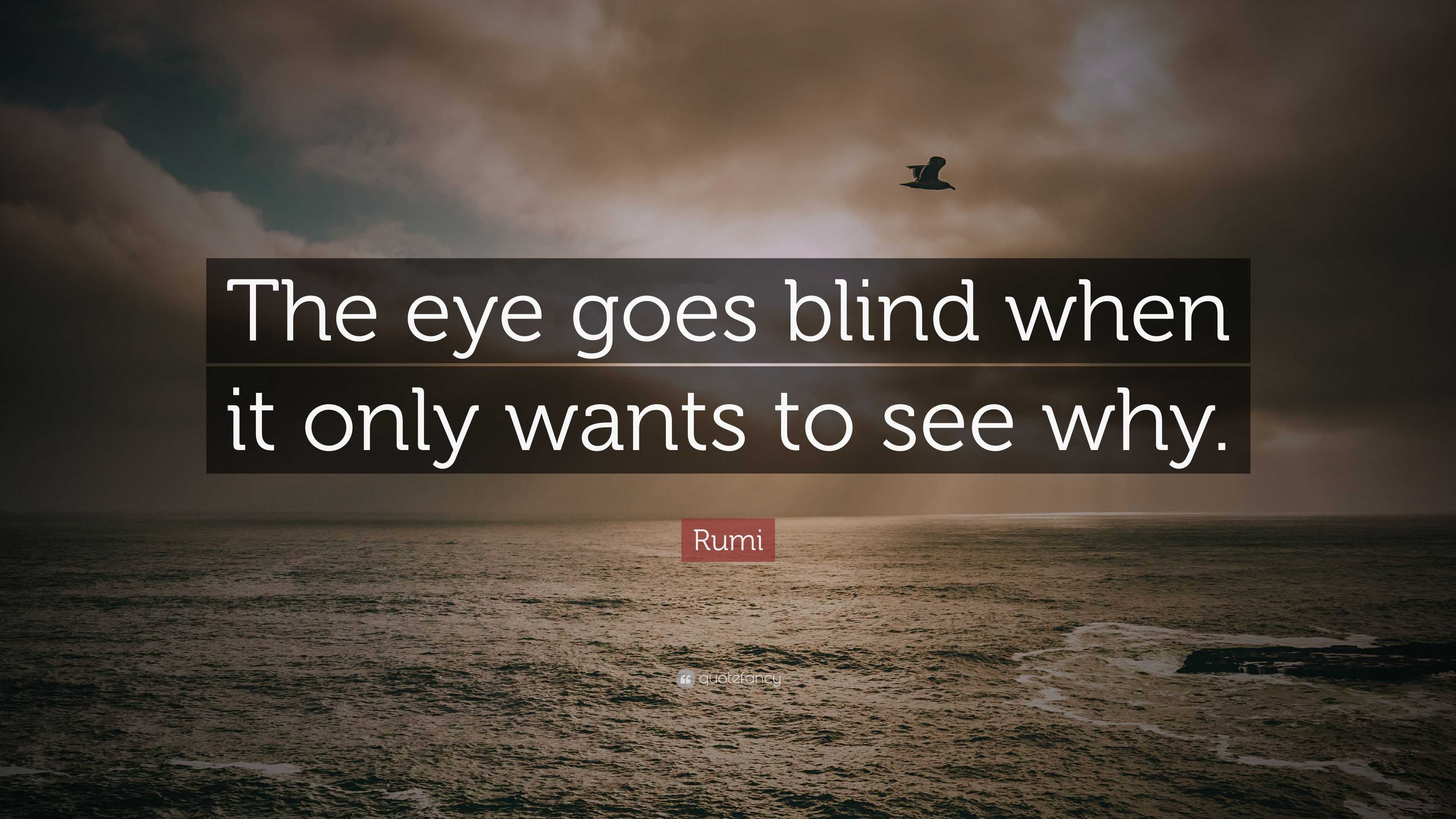 Rumi Quote: “The eye goes blind when it only wants to see why.”