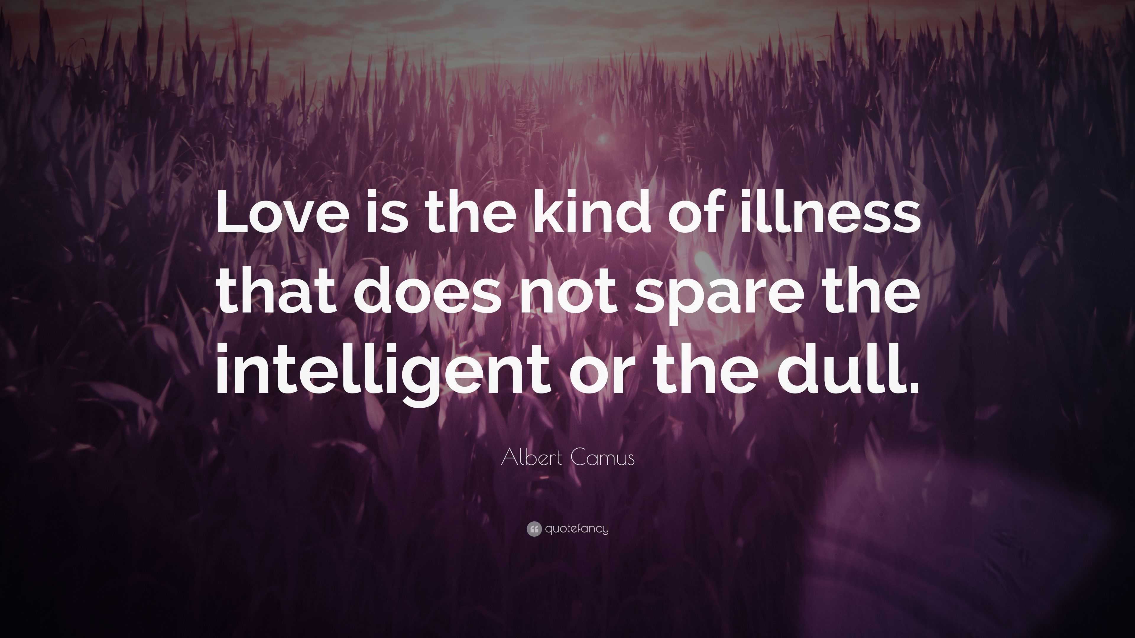 Albert Camus Quote Love Is The Kind Of Illness That Does Not Spare albert-camus-quote-love-is-the-kind-of-illness-that-does-not-spare