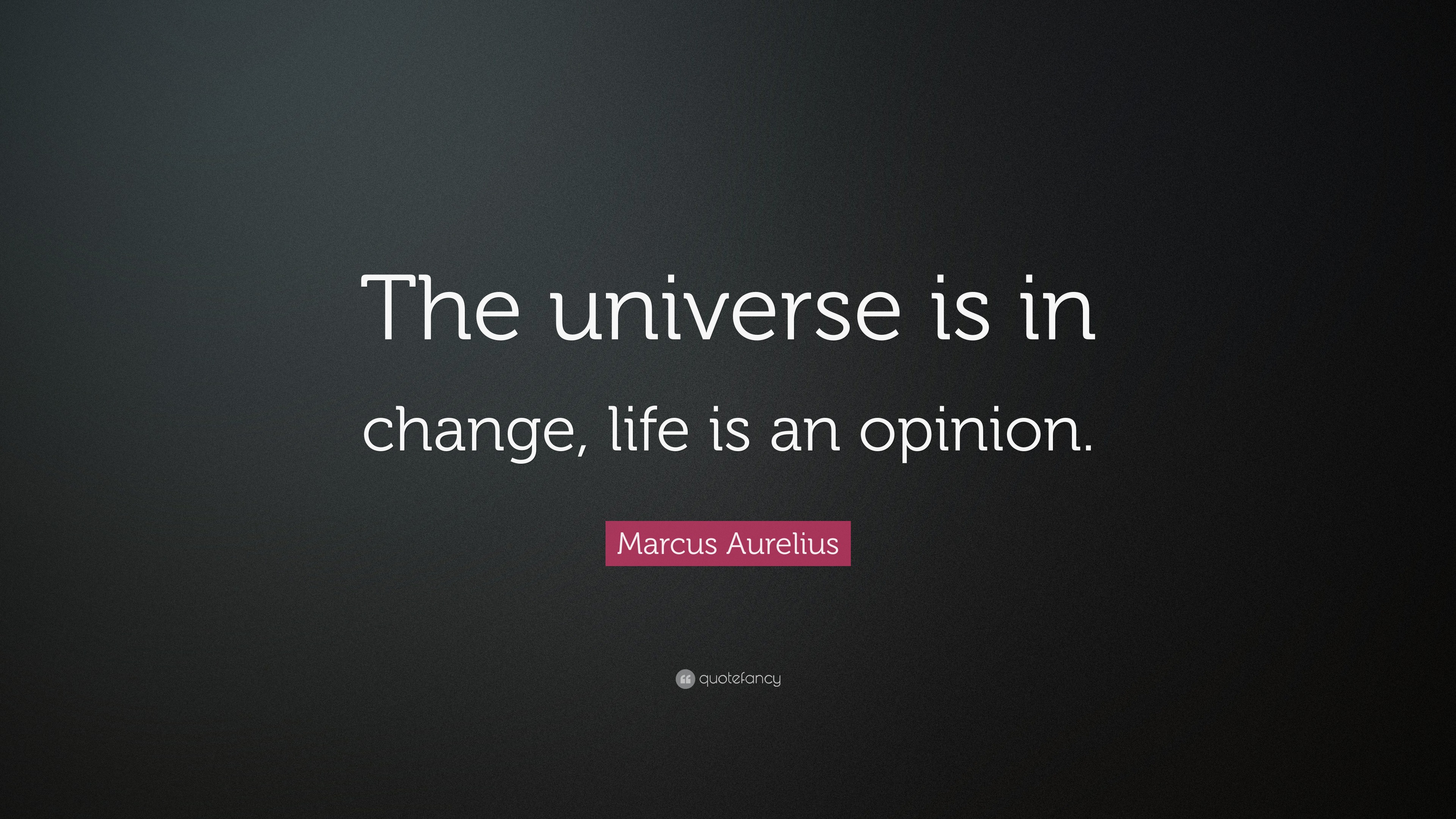 Marcus Aurelius Quote: “The universe is in change, life is an opinion.”