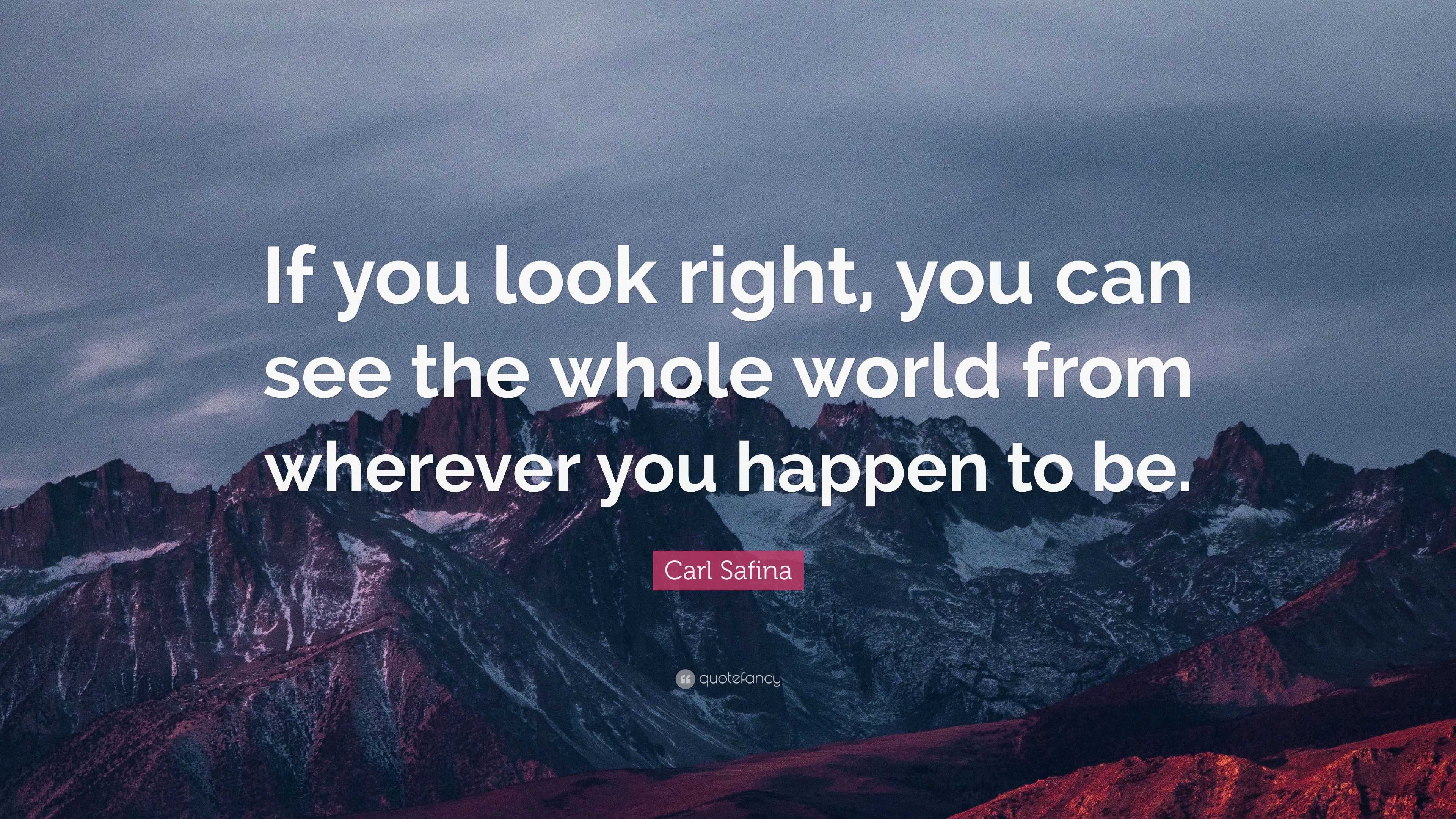 Carl Safina Quote: “If you look right, you can see the whole world from ...